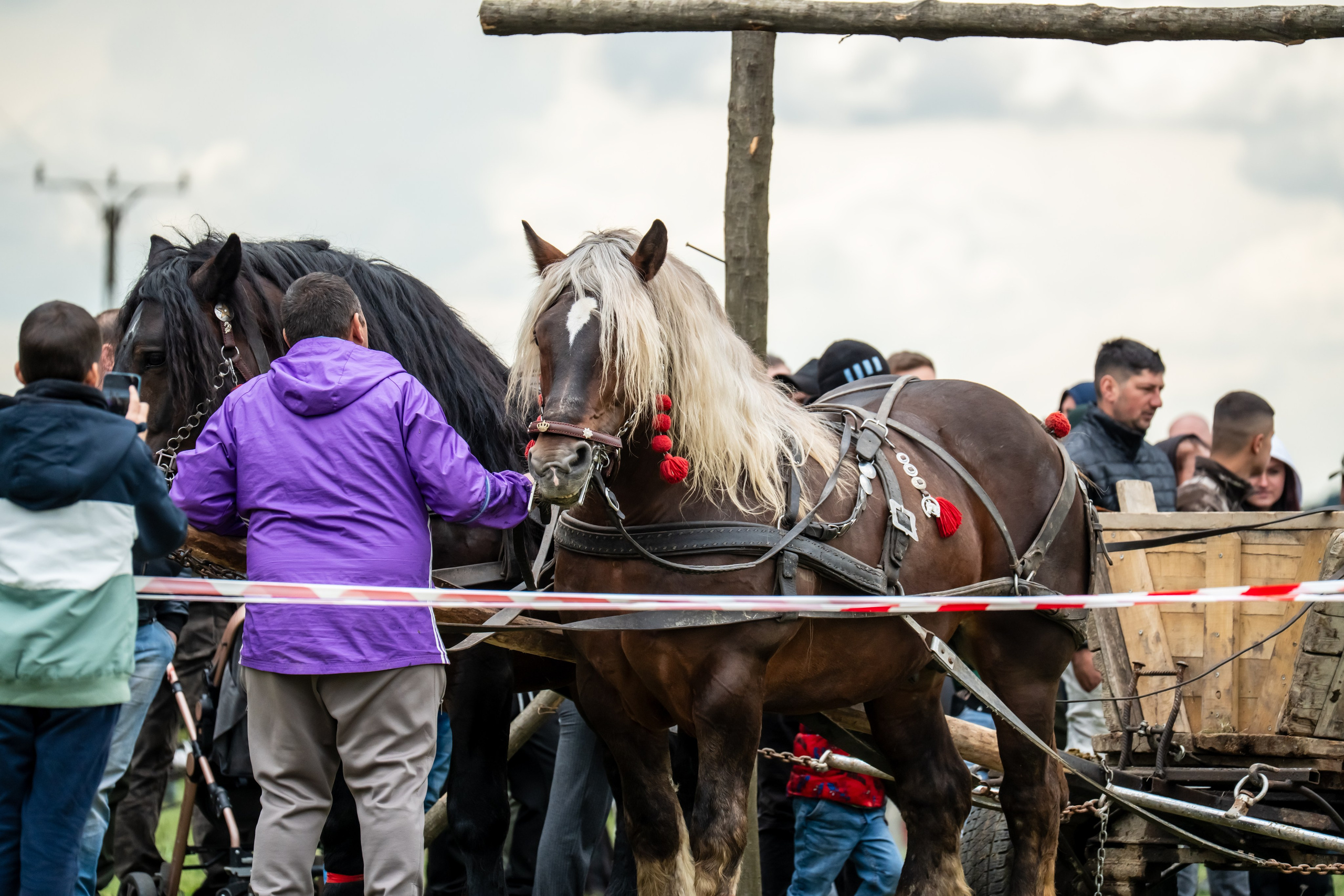 Concurs Ecvestru Vărbilău ediția a 4-a. Mihai Alexandra Events