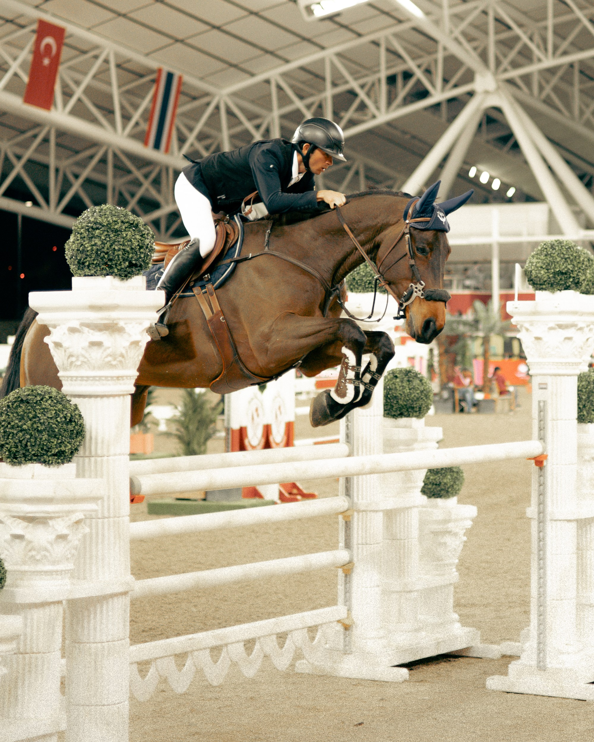 Antoine Ermann. Regina Turbin — official website