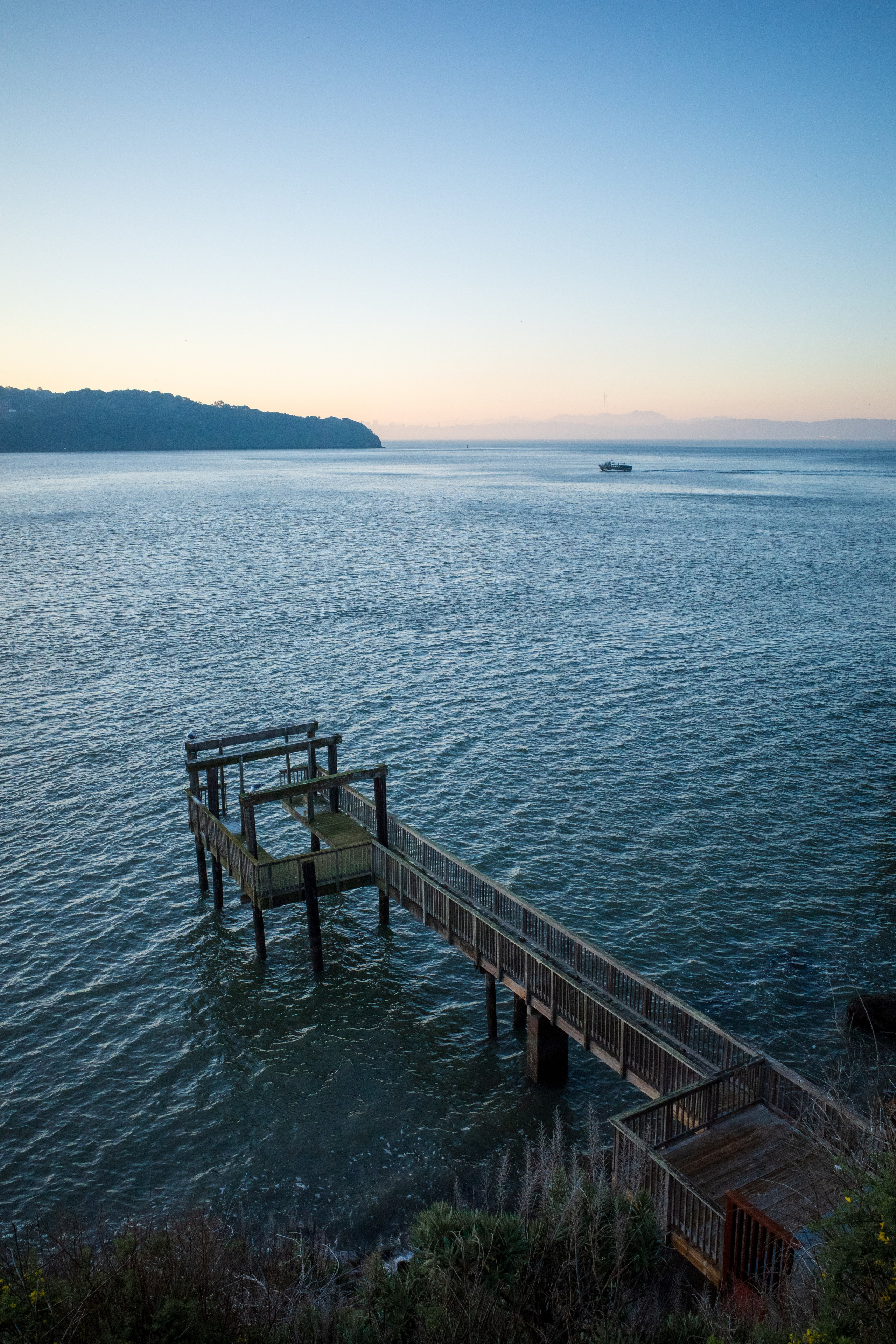 San Francisco. Aleks.photo | Book a photoshoot