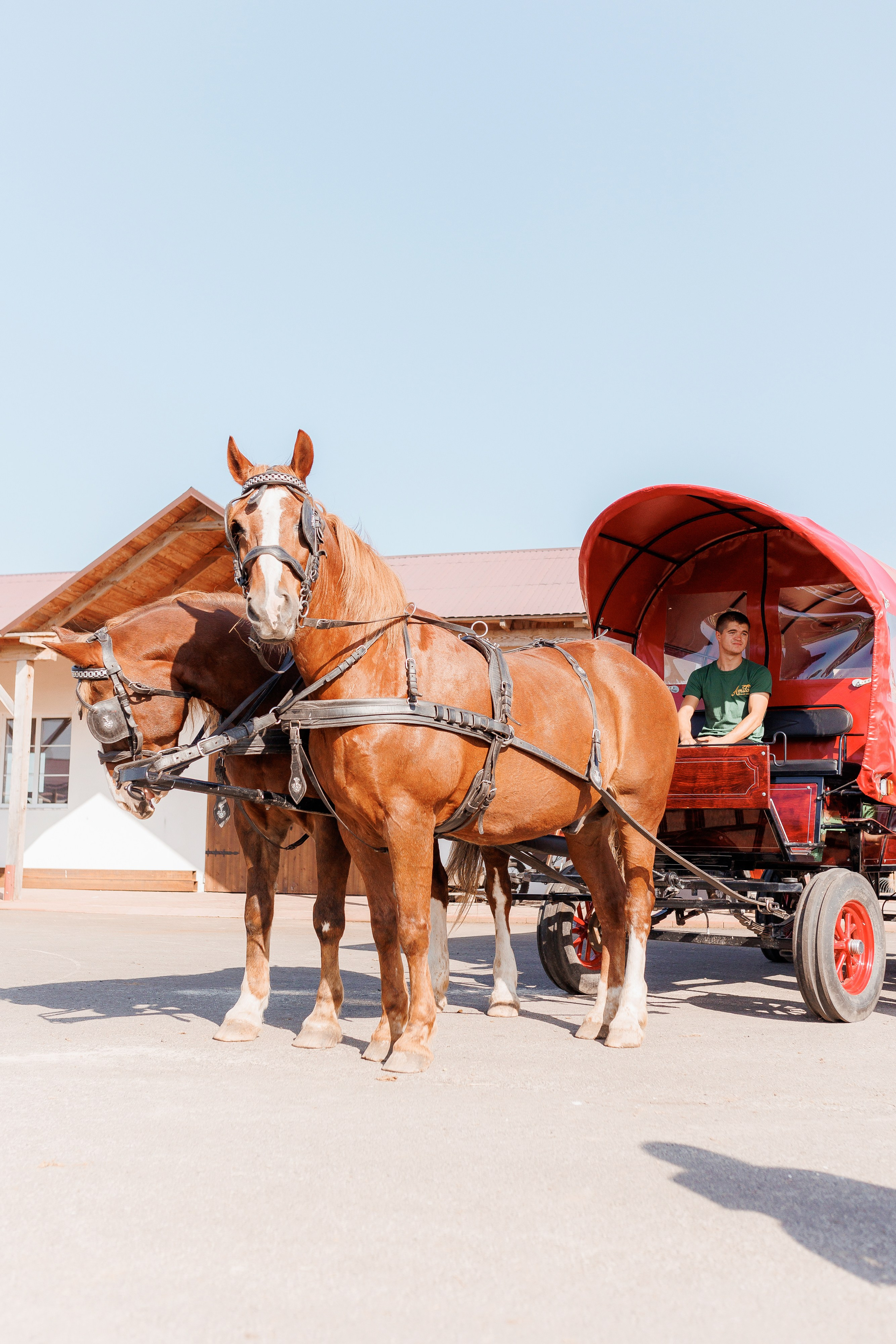 Екопарк Аміла. Ірина Терещук