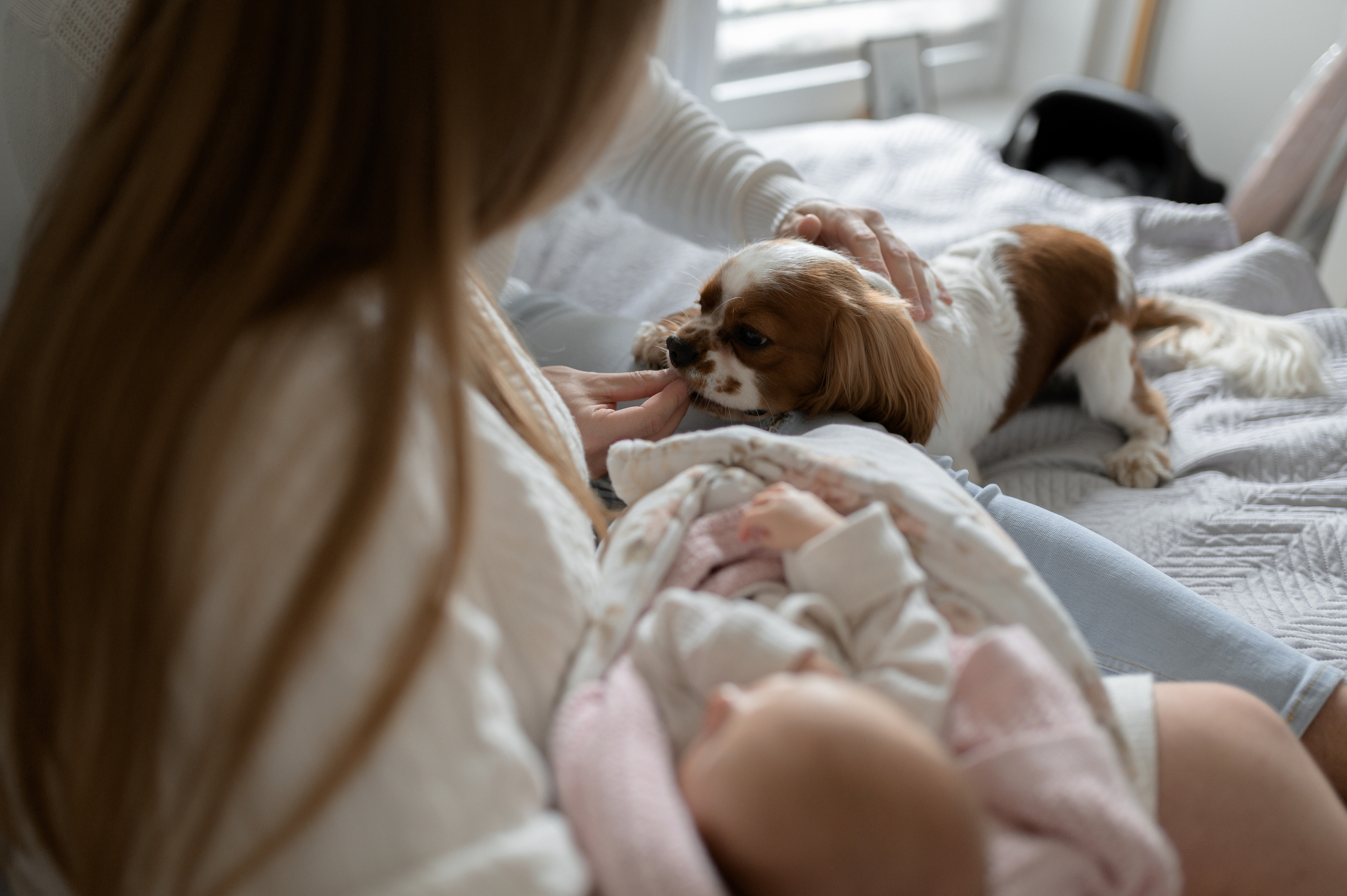 Mihalina, 2022. Wedding photographer in Wroclaw Warsaw Krakow Margarita Tuleiko