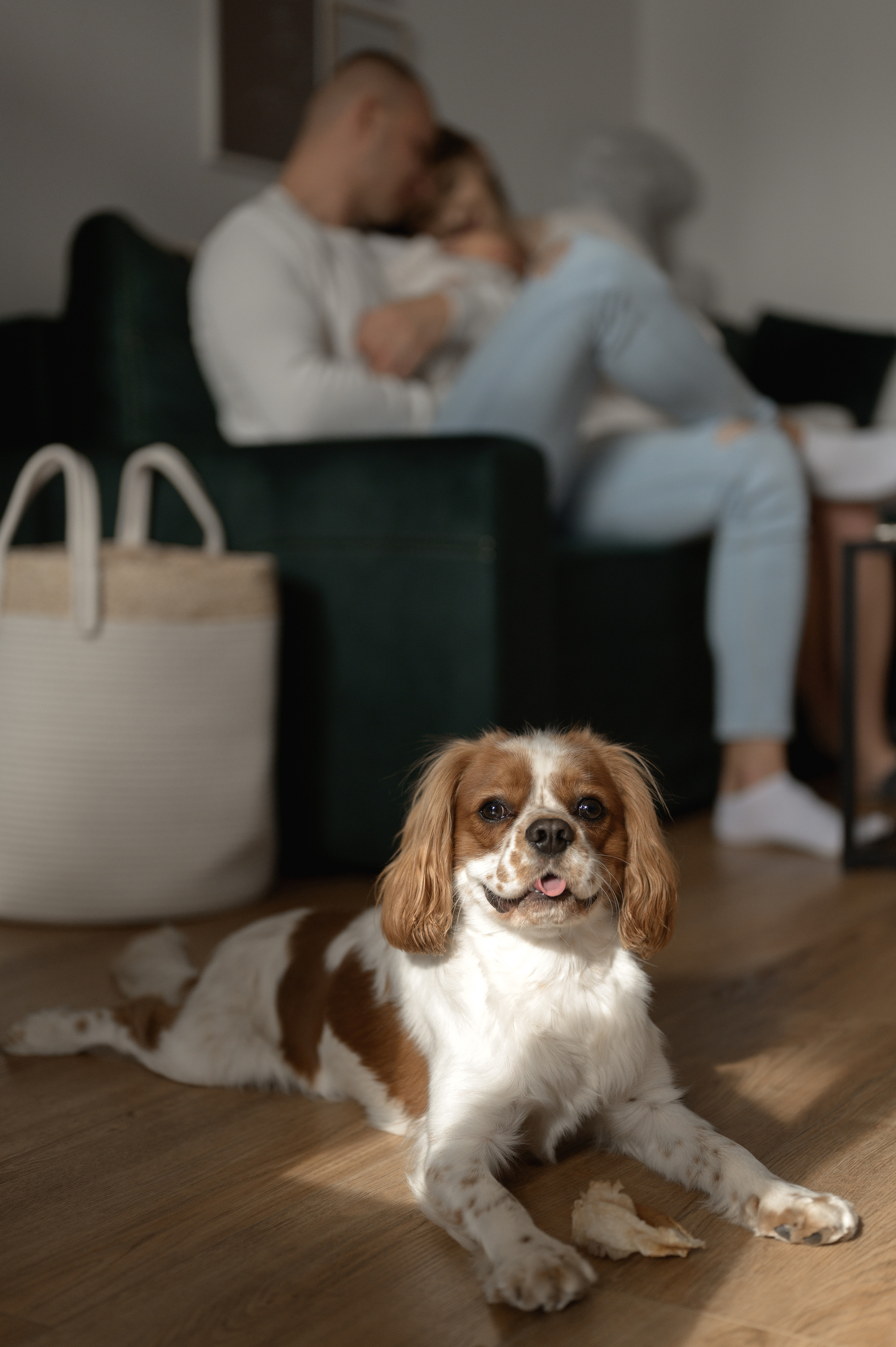 Mihalina, 2022. Wedding photographer in Wroclaw Warsaw Krakow Margarita Tuleiko