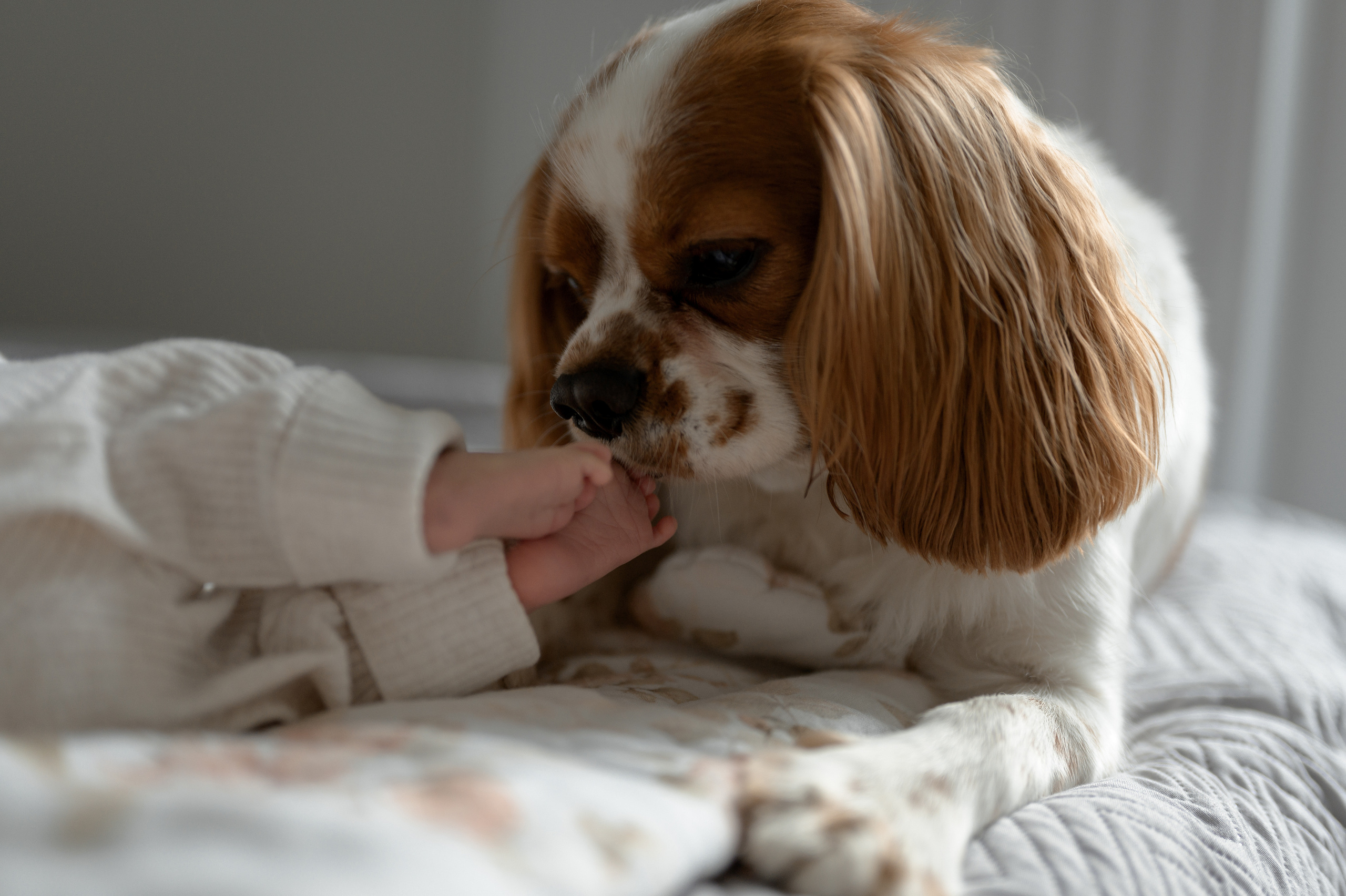 Mihalina, 2022. Wedding photographer in Wroclaw Warsaw Krakow Margarita Tuleiko