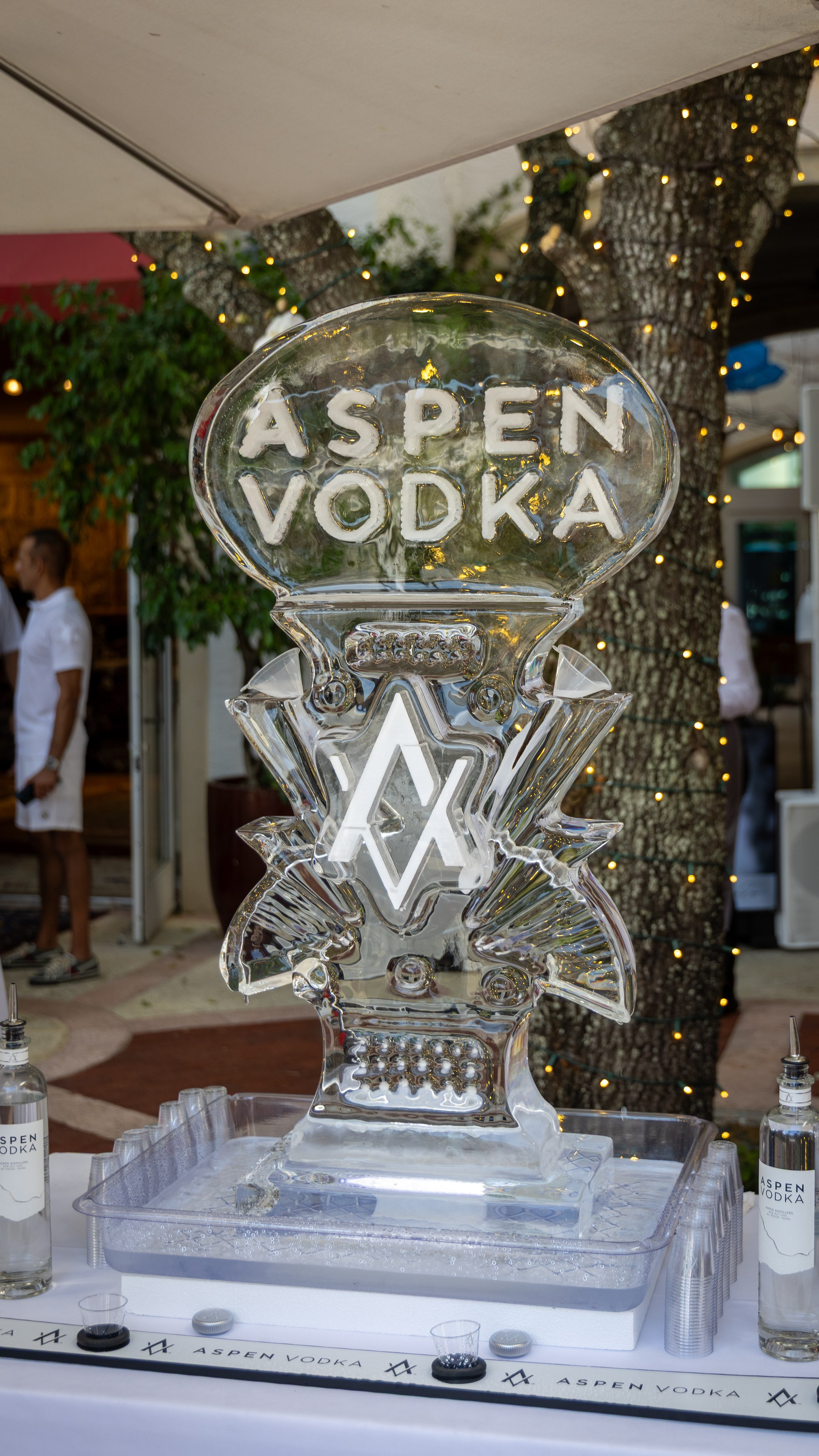 Aspen Vodka White Party at the French. Out and About 239