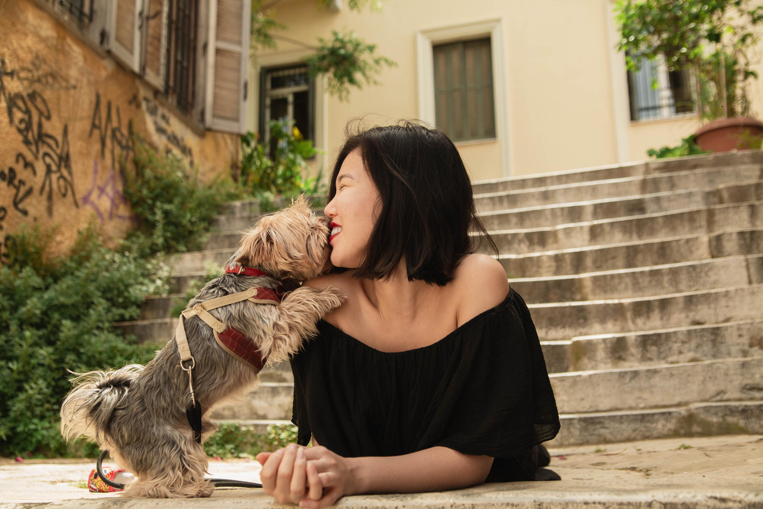 Portrait Session with Your Dog in Athens | Pet Photography