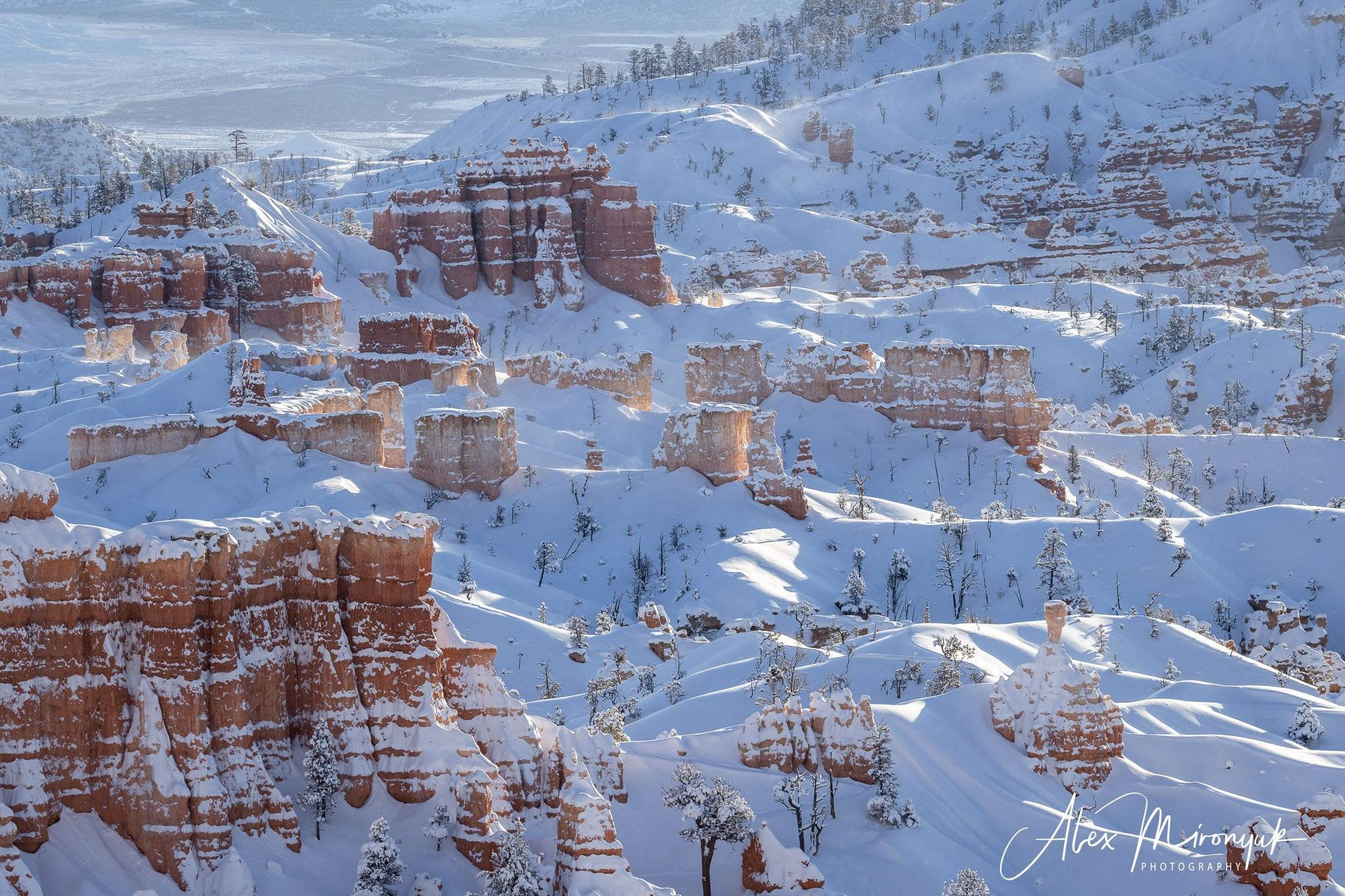 New Year In Utah. Pet, Senior, Landscape, portrait studio, photographer in Miami and Sou