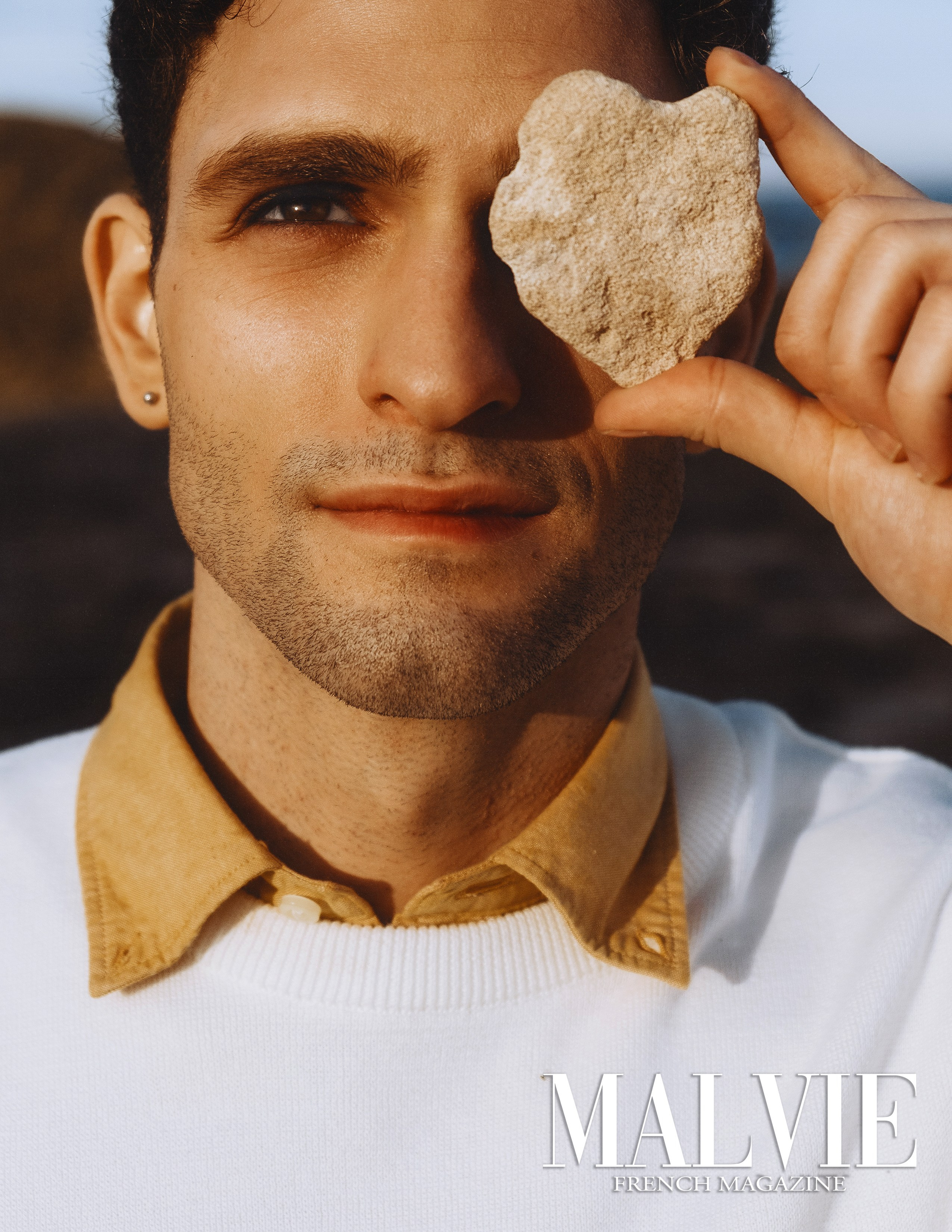 The best publications of the project Stone Cold