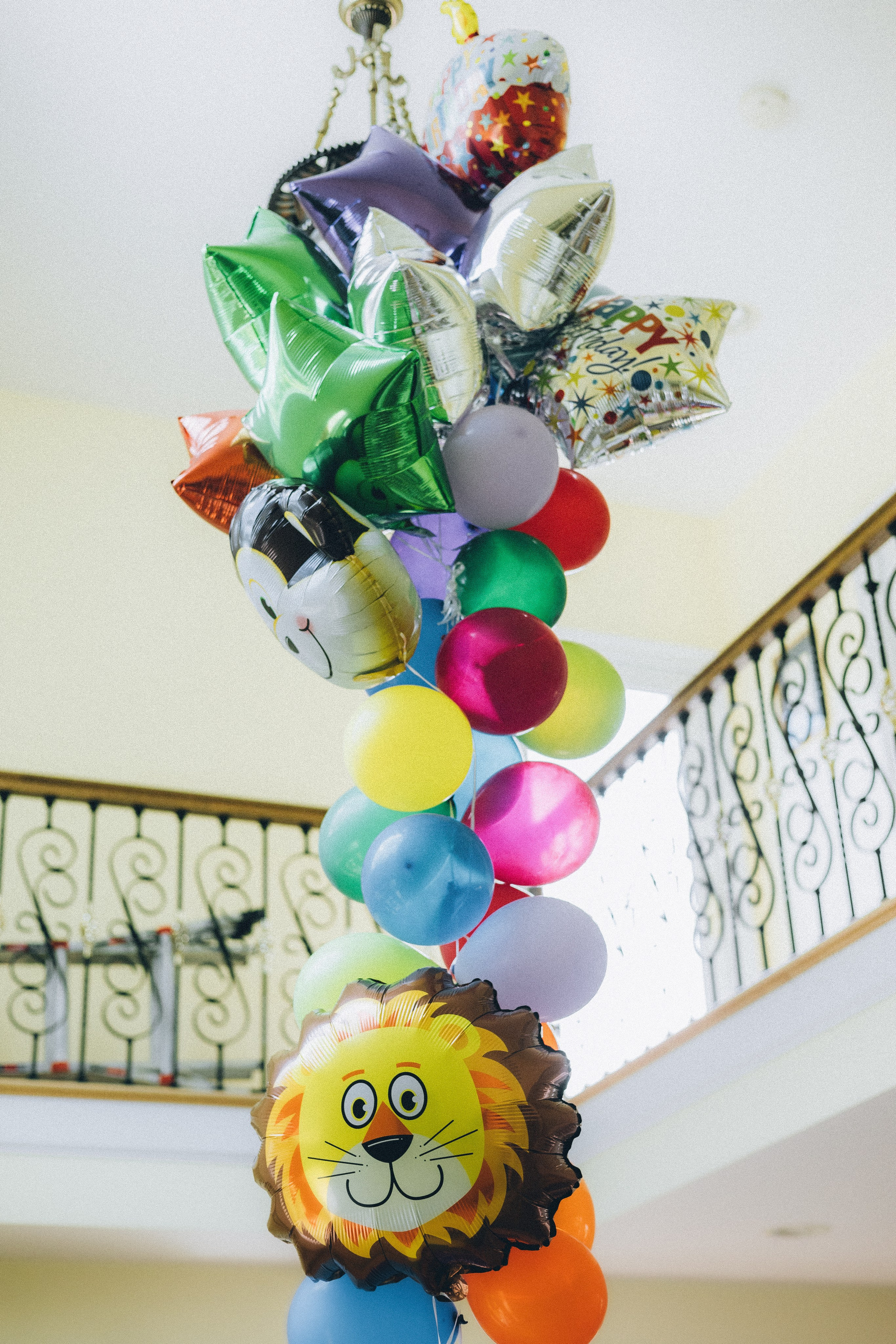 Sean’s Birthday. Sara Eulalia | Virginia Photographer