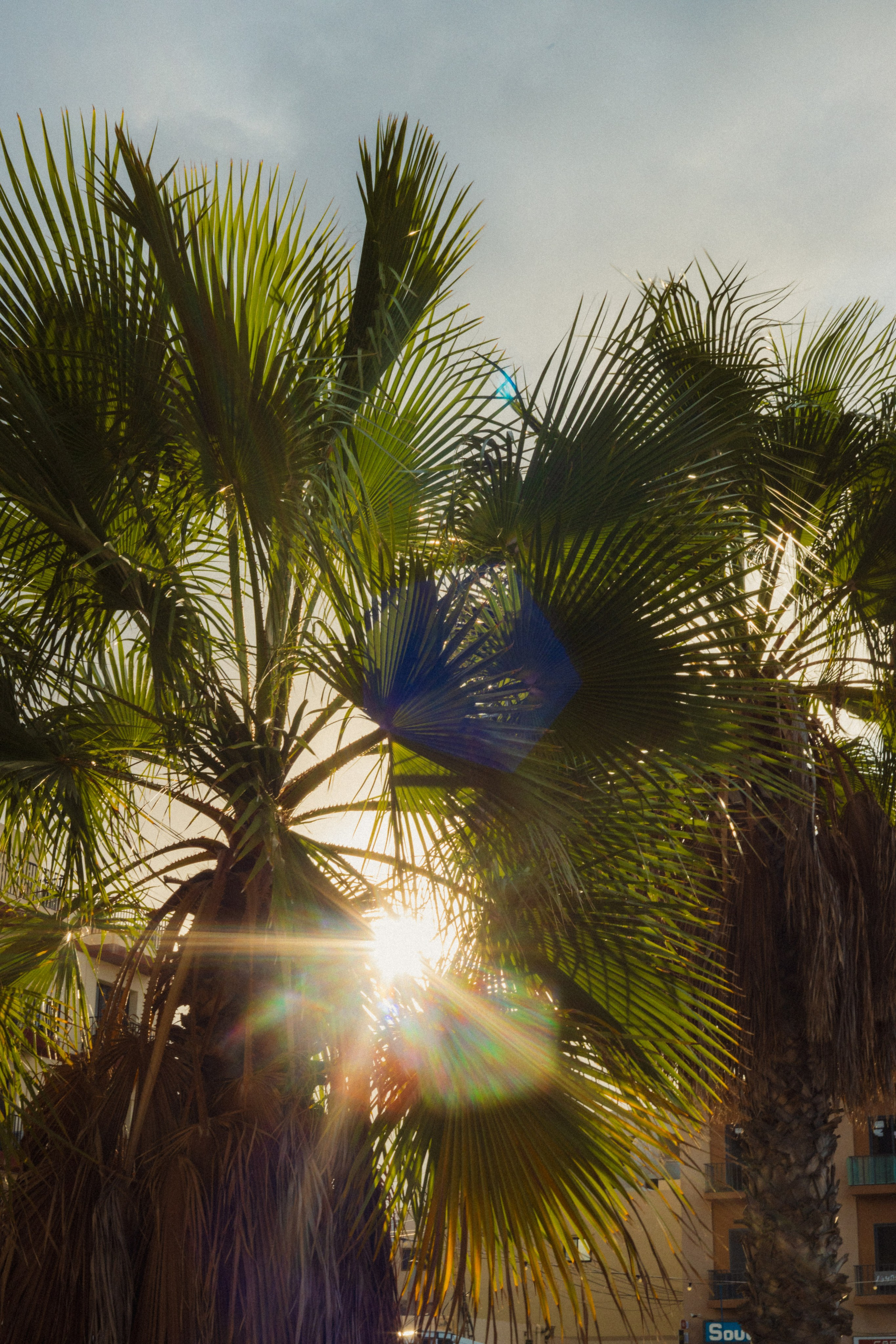 Malta. Aleks.photo | Book a photoshoot