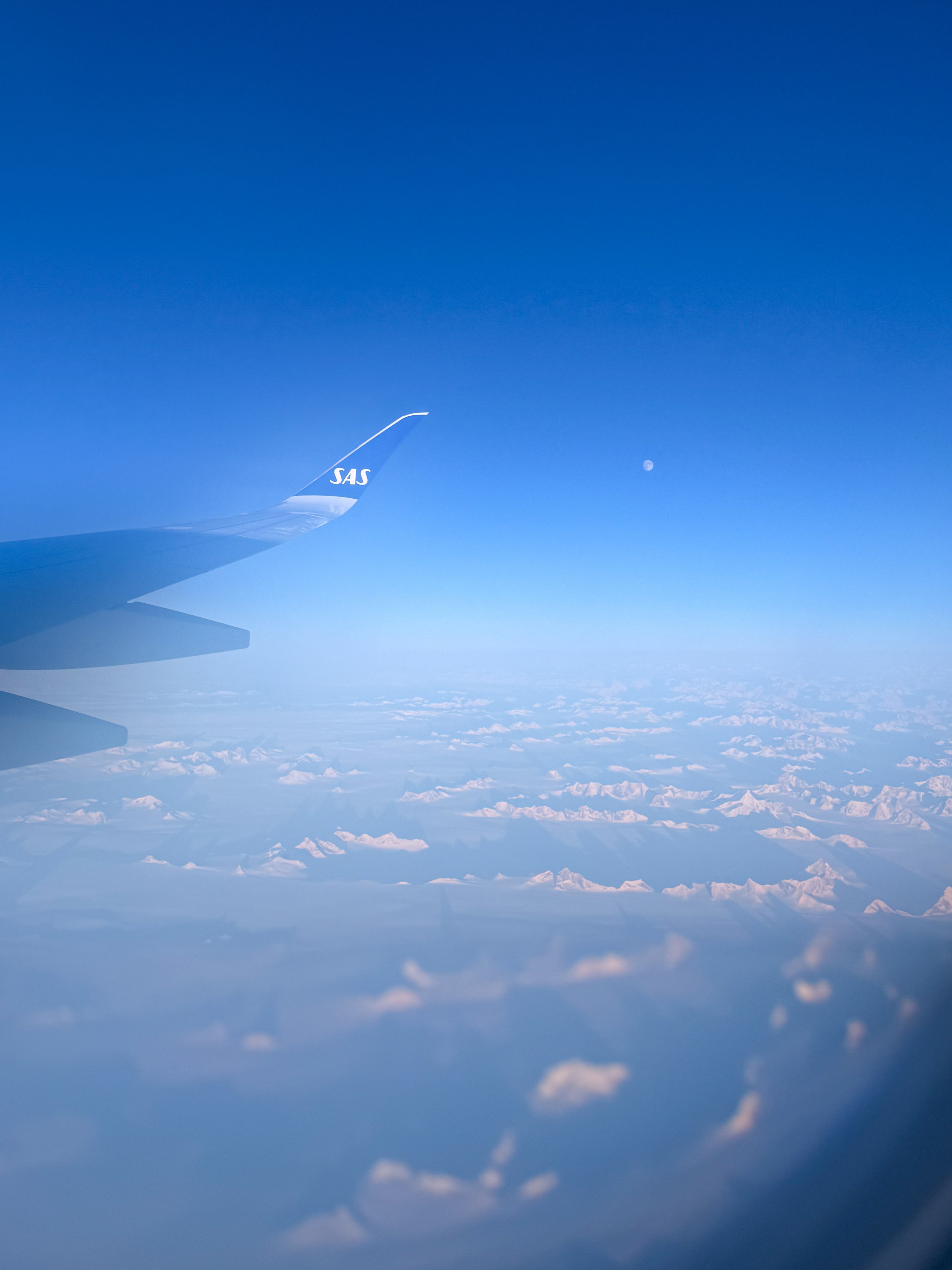 San Francisco. Aleks.photo | Book a photoshoot