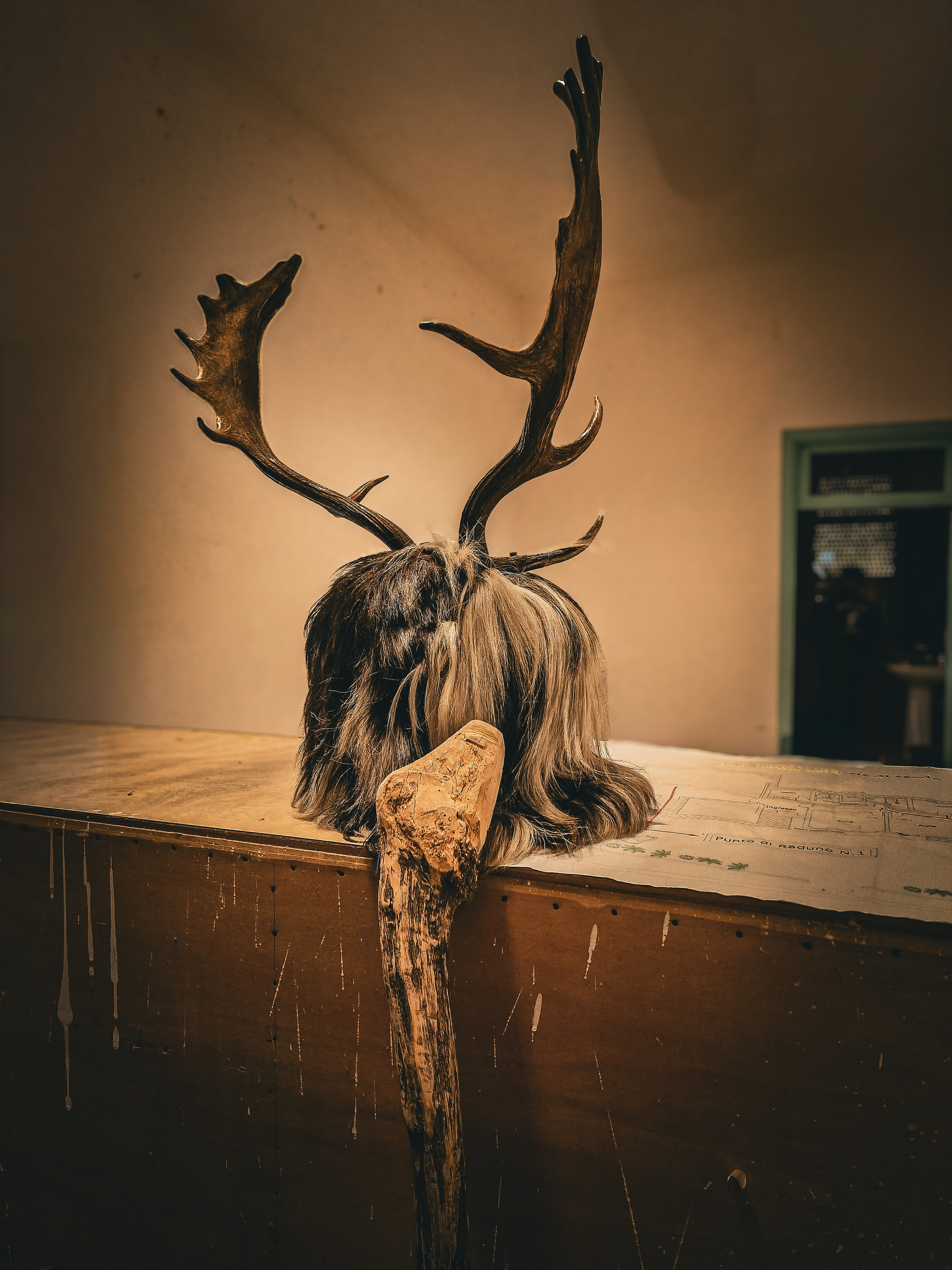 Carnevale. Olga Manukhina fotografo in Sardegna