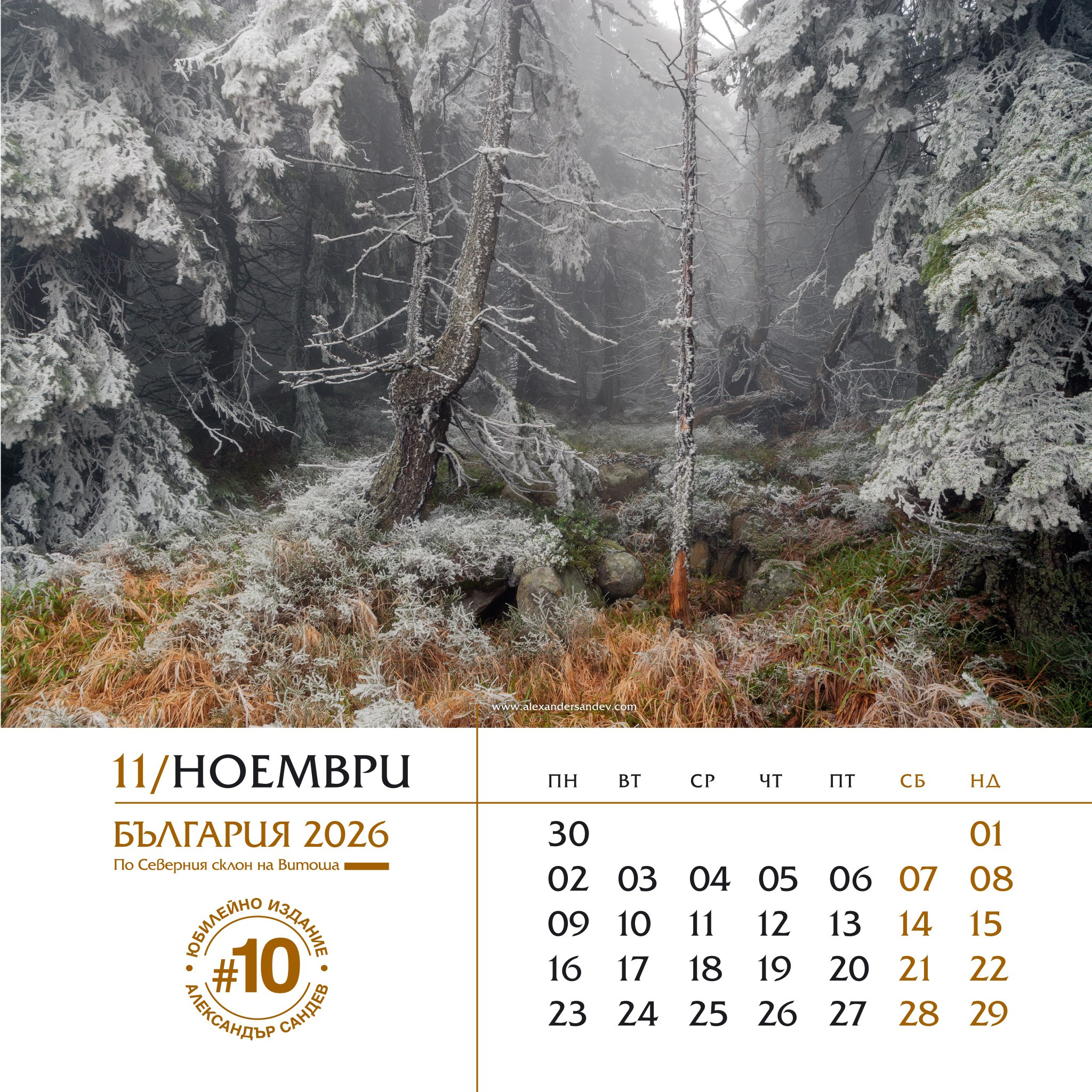 България 2026. Александър Сандев - website