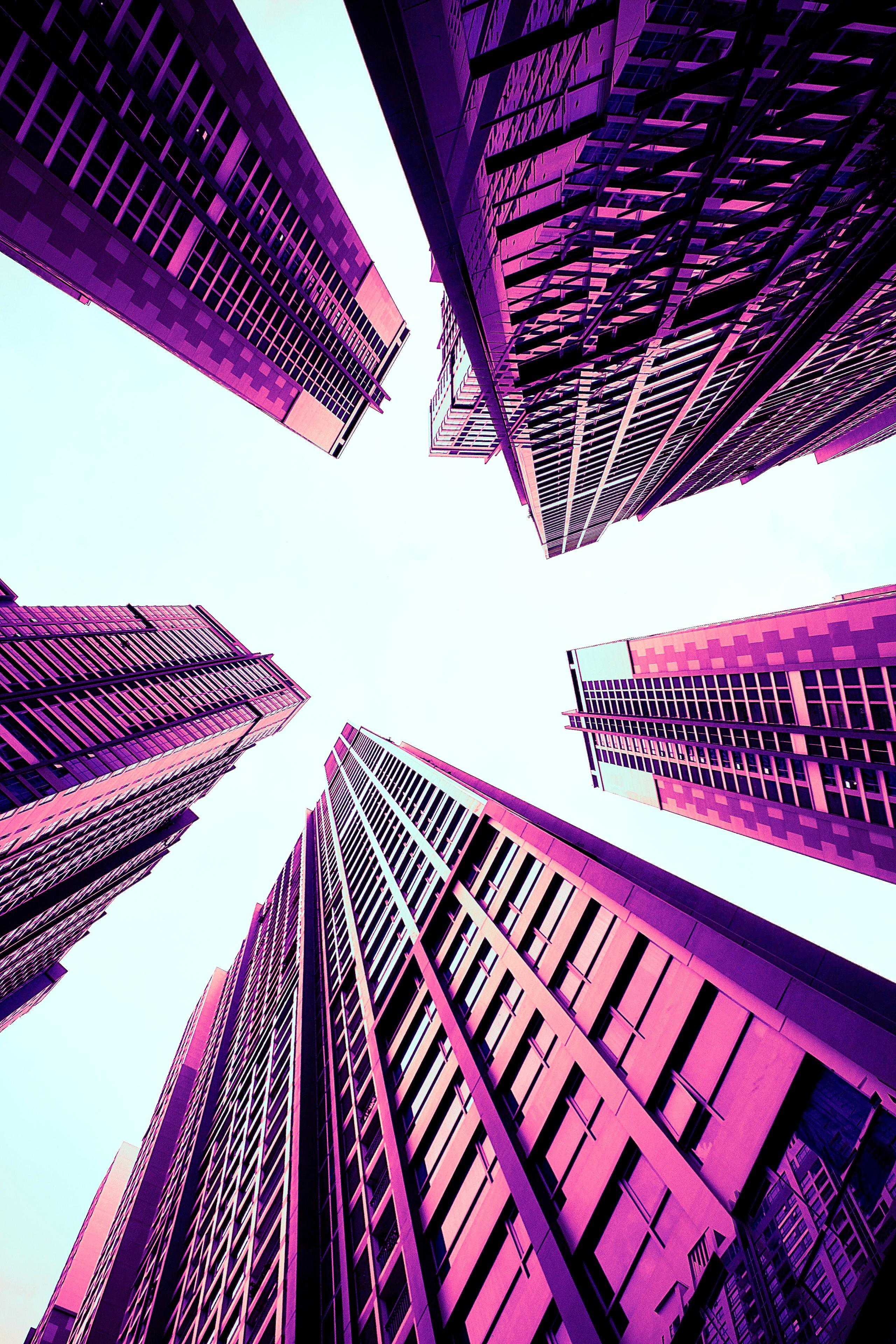 Photography. Fermented Solipsism artist & documentary photographer in California