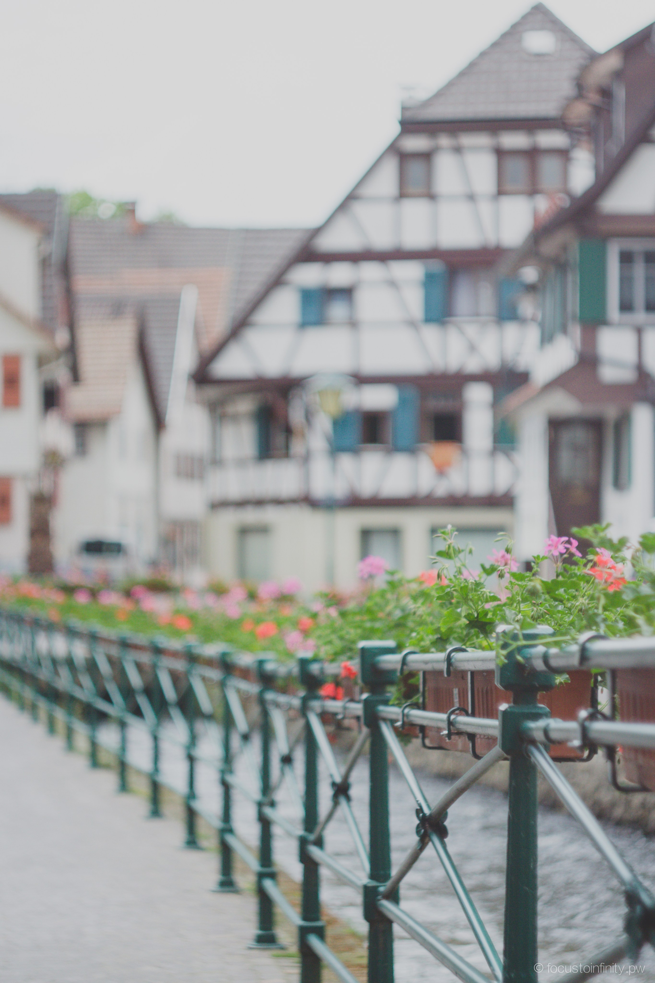 Oberkircher Erdbeerfest. Maria Chistyakovа — Fotografin in Karlsruhe, Baden-Baden und Umgebung