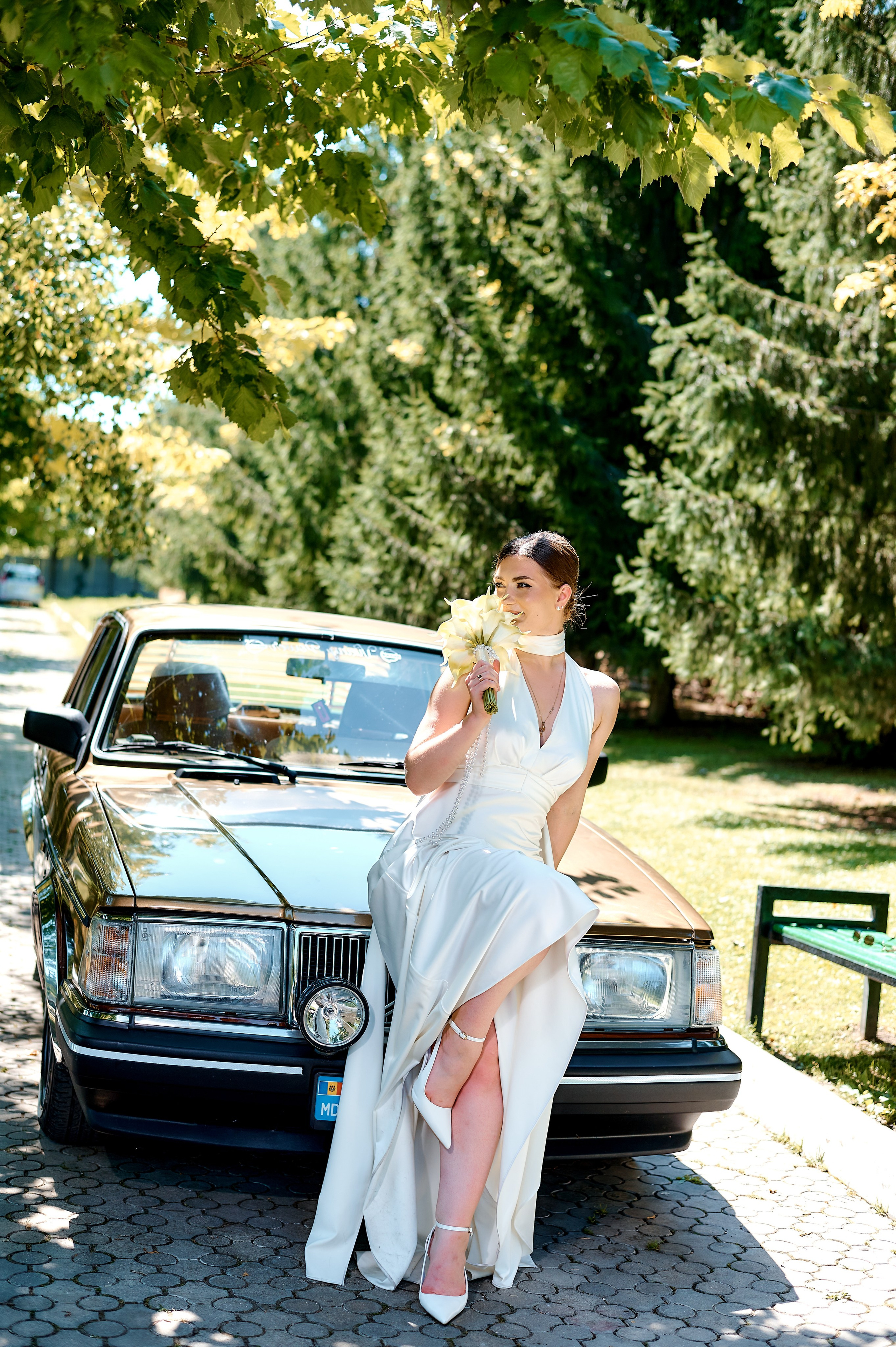 Nicolae & Ilinca. Excellens