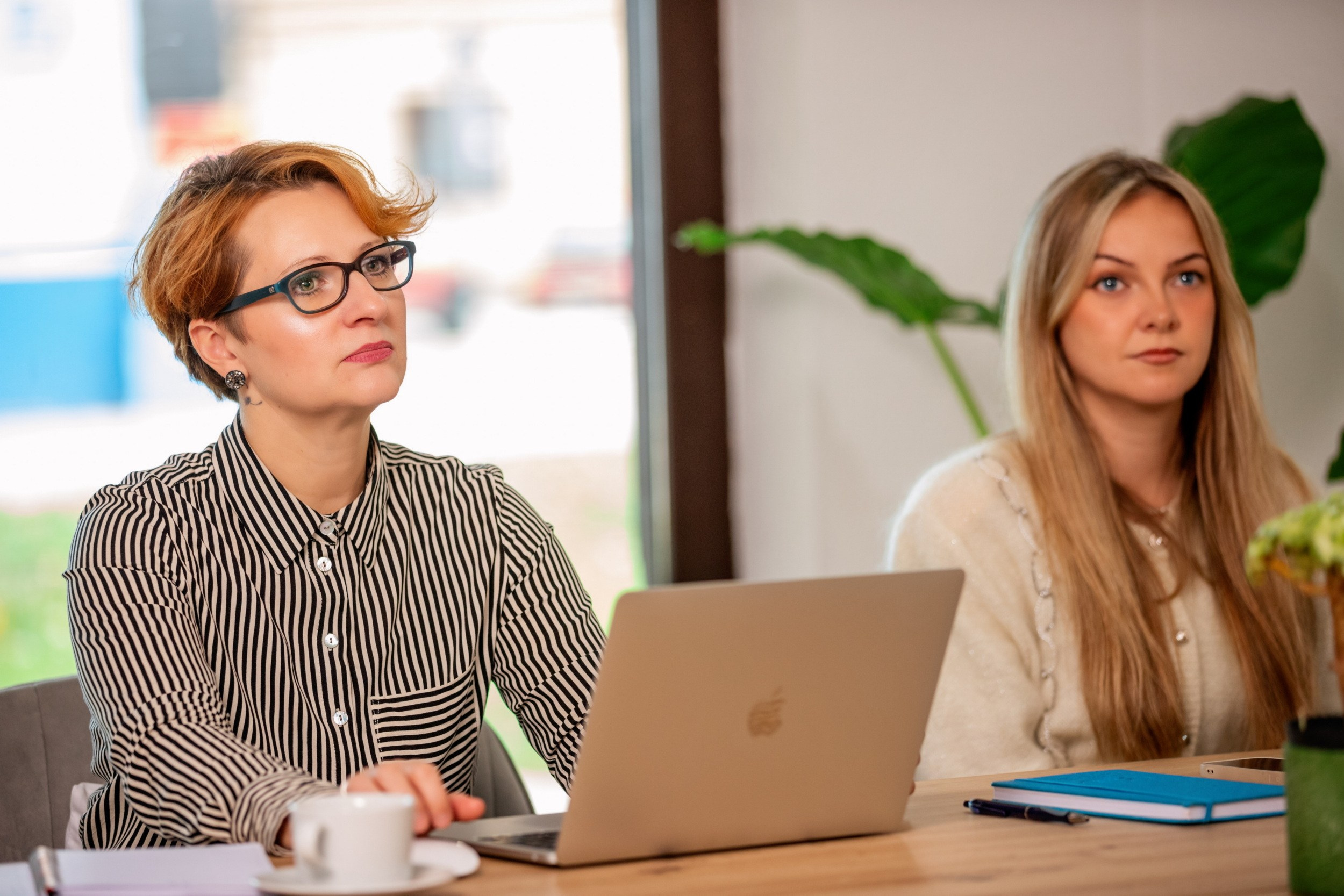 POSLOVNI PORTRETI. Fotografi iz Backog Petrovca David i Andrea Stojanovic