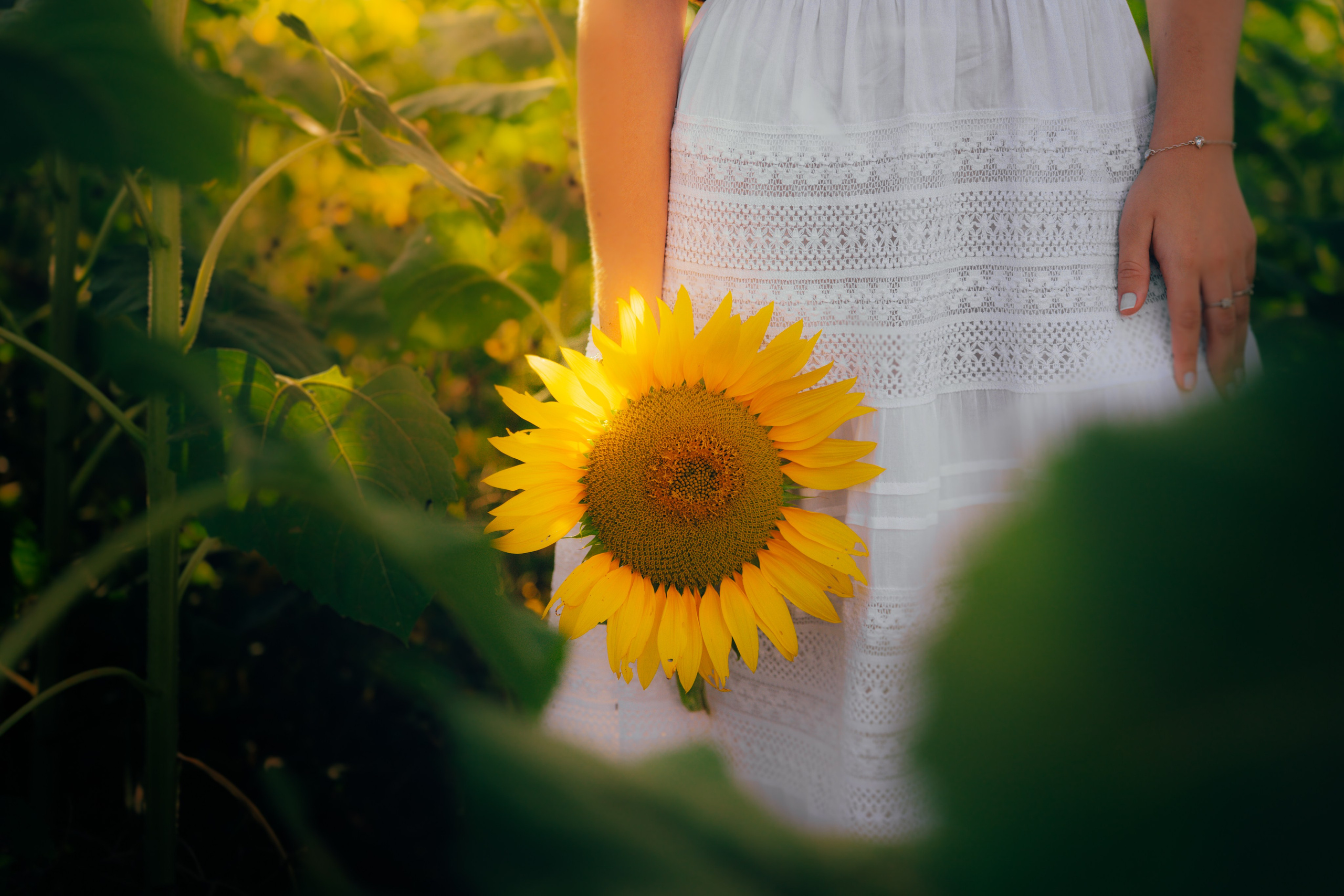 Debutante. Reference Visuals