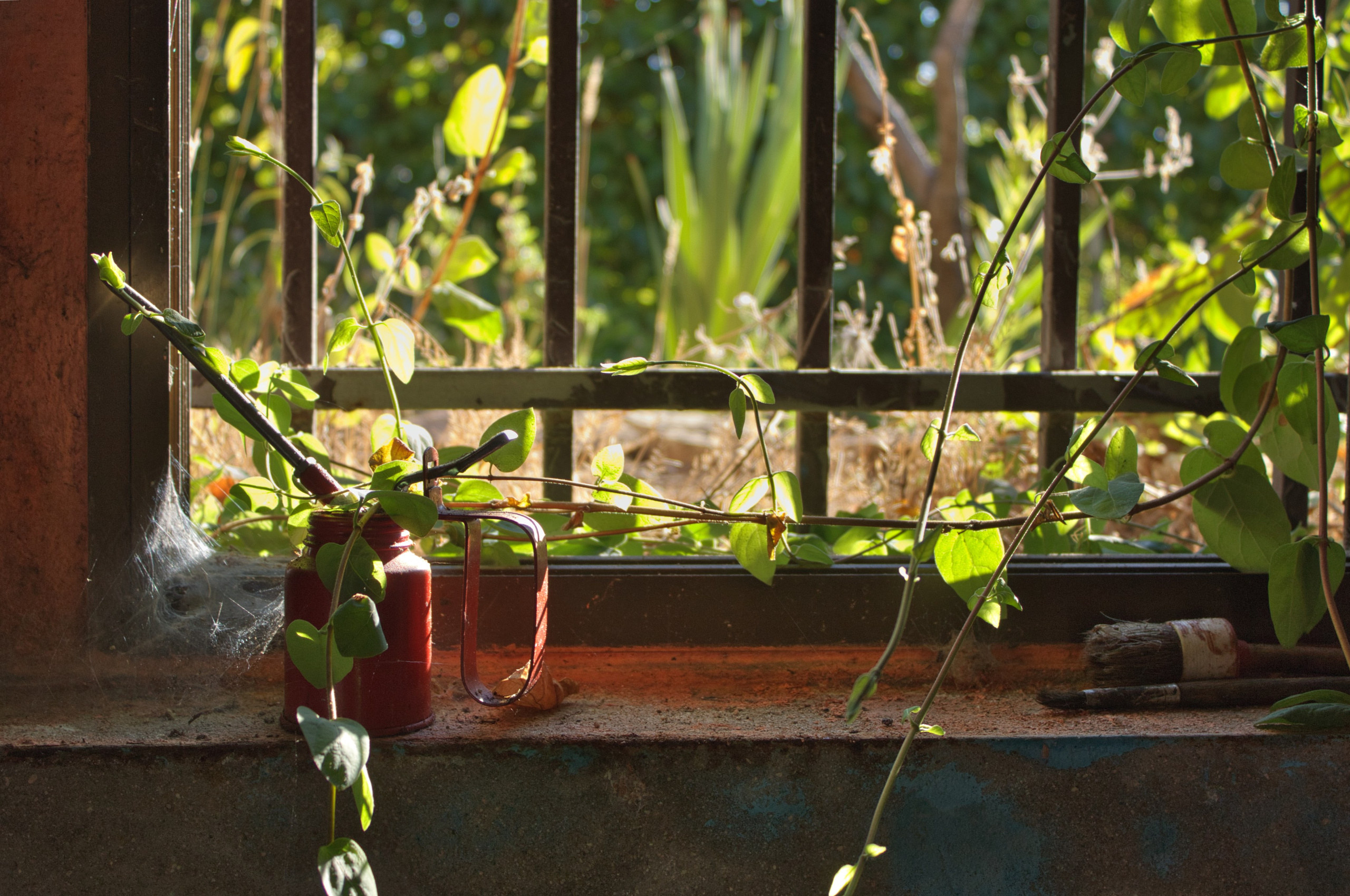 Fotógrafo. Fotógrafo de bodas, familiar, niños y modelos en Madrid, Julio César Bustamante