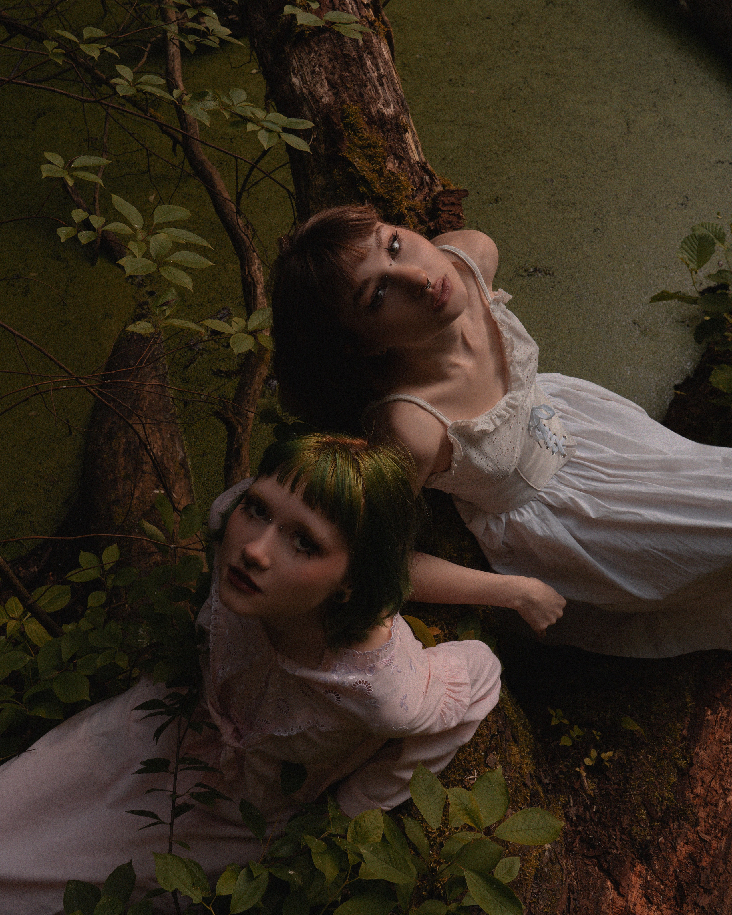 Nature. RRproduction