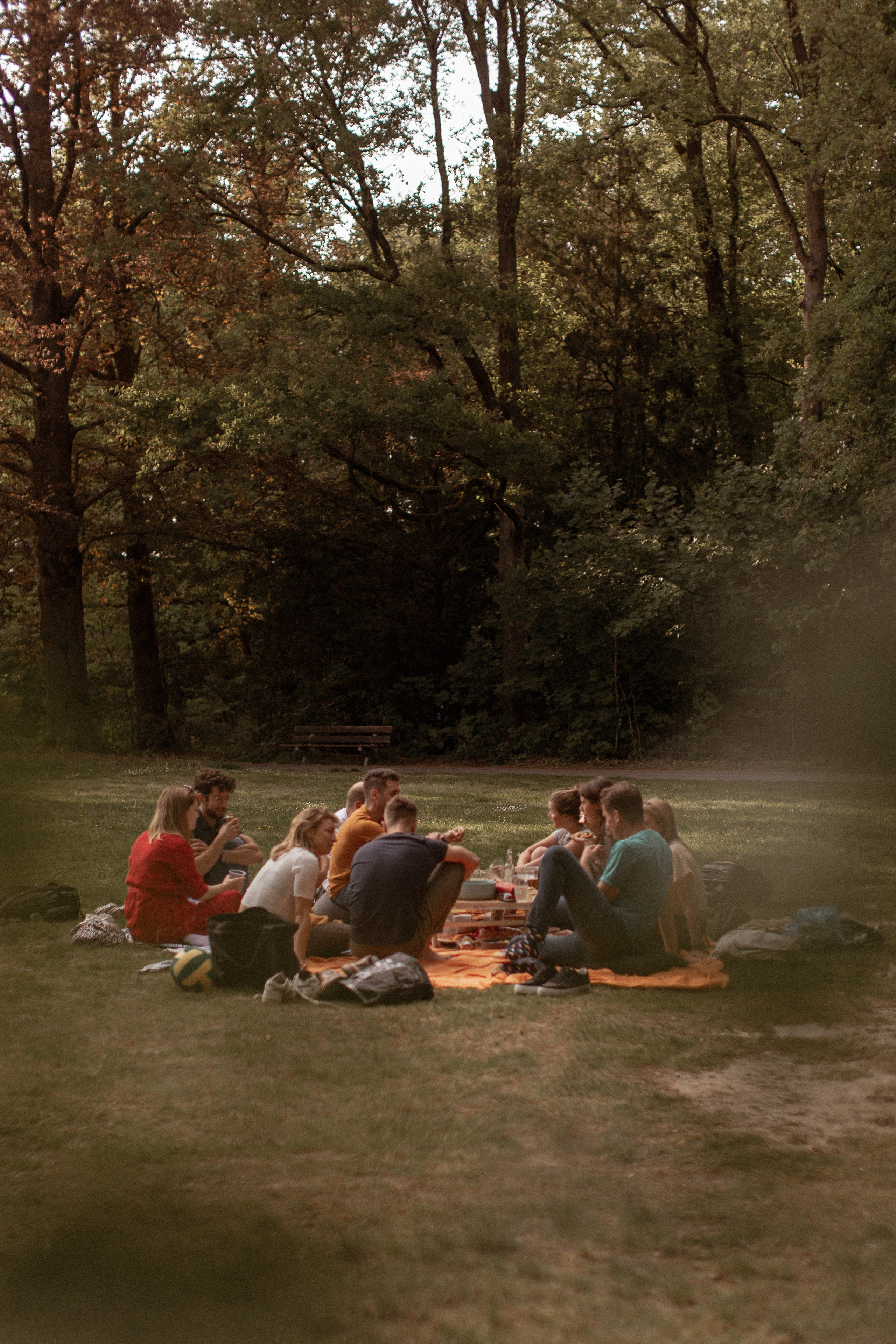 Picnic reportage. True self