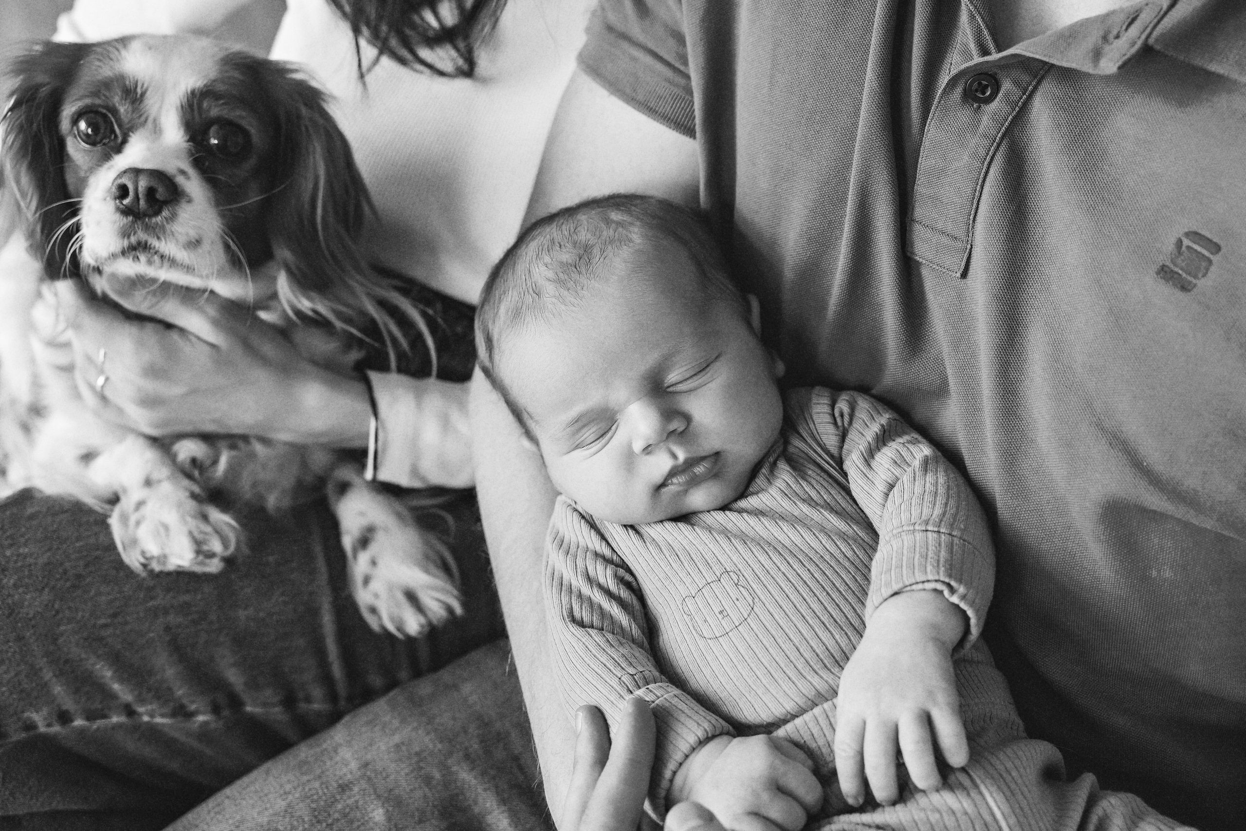 Фотосесия за новородено. Фотограф Ирина Йотова