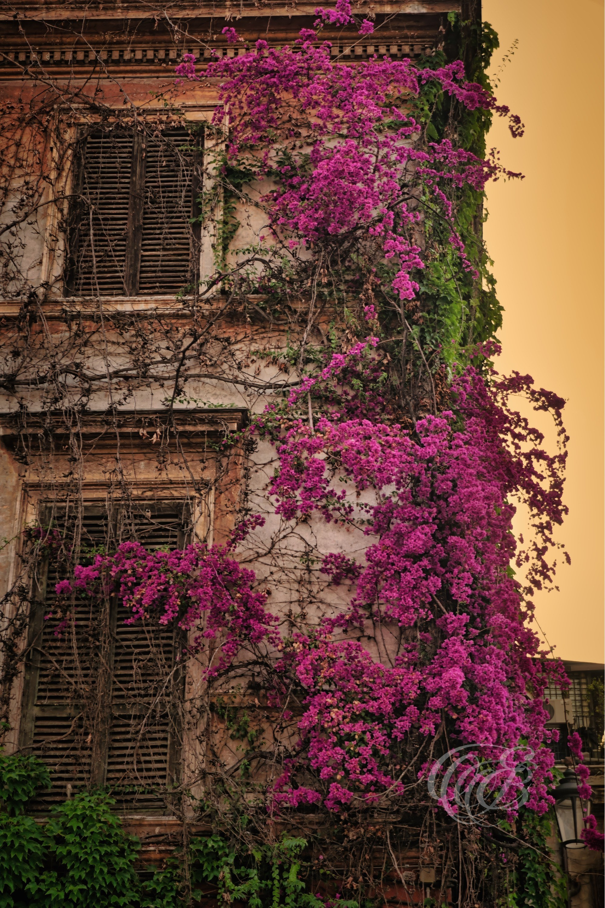 Photography of Italy. Eduardo Bartoli Photography