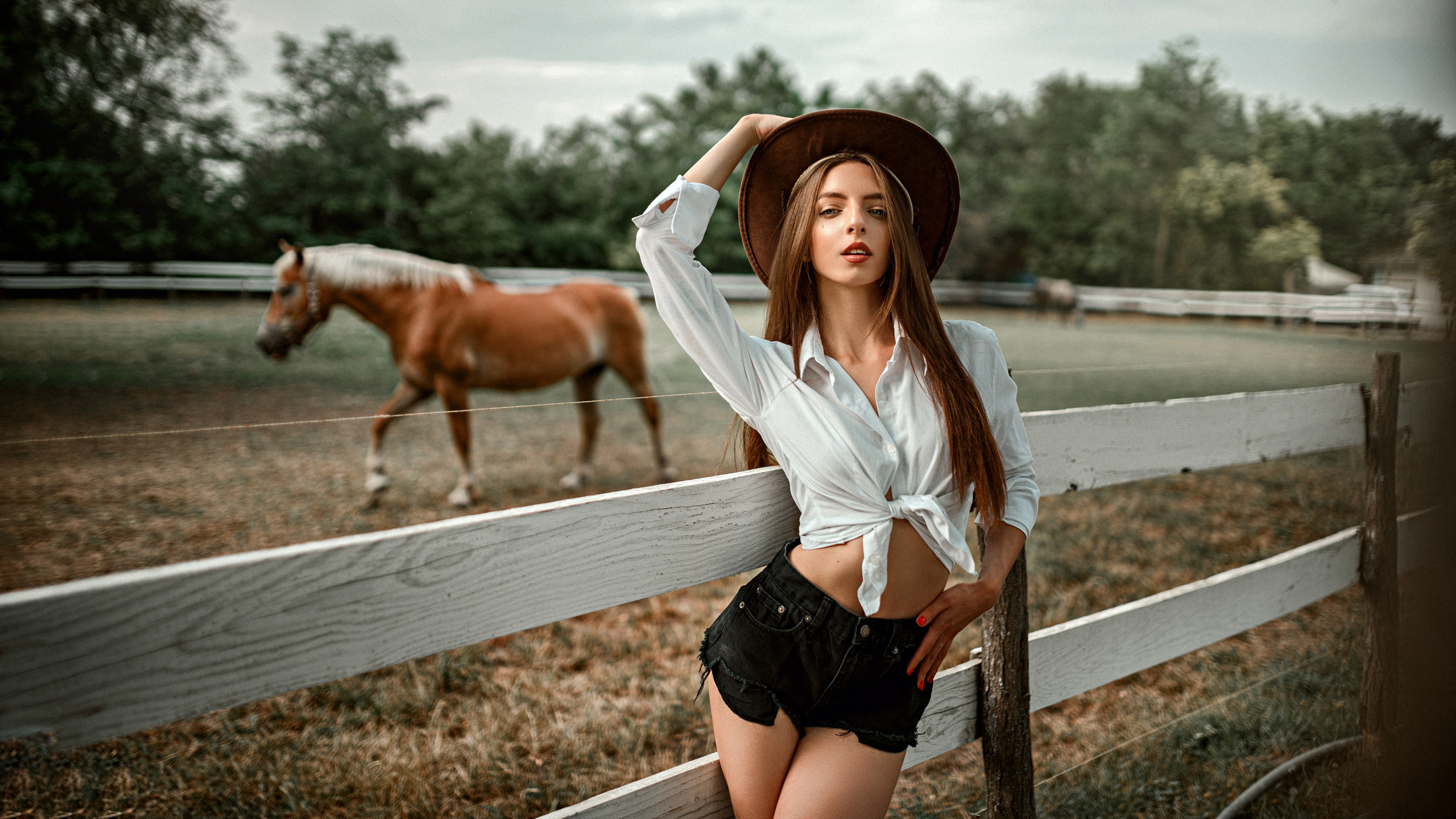 Aleksandar Jovanovic Photography