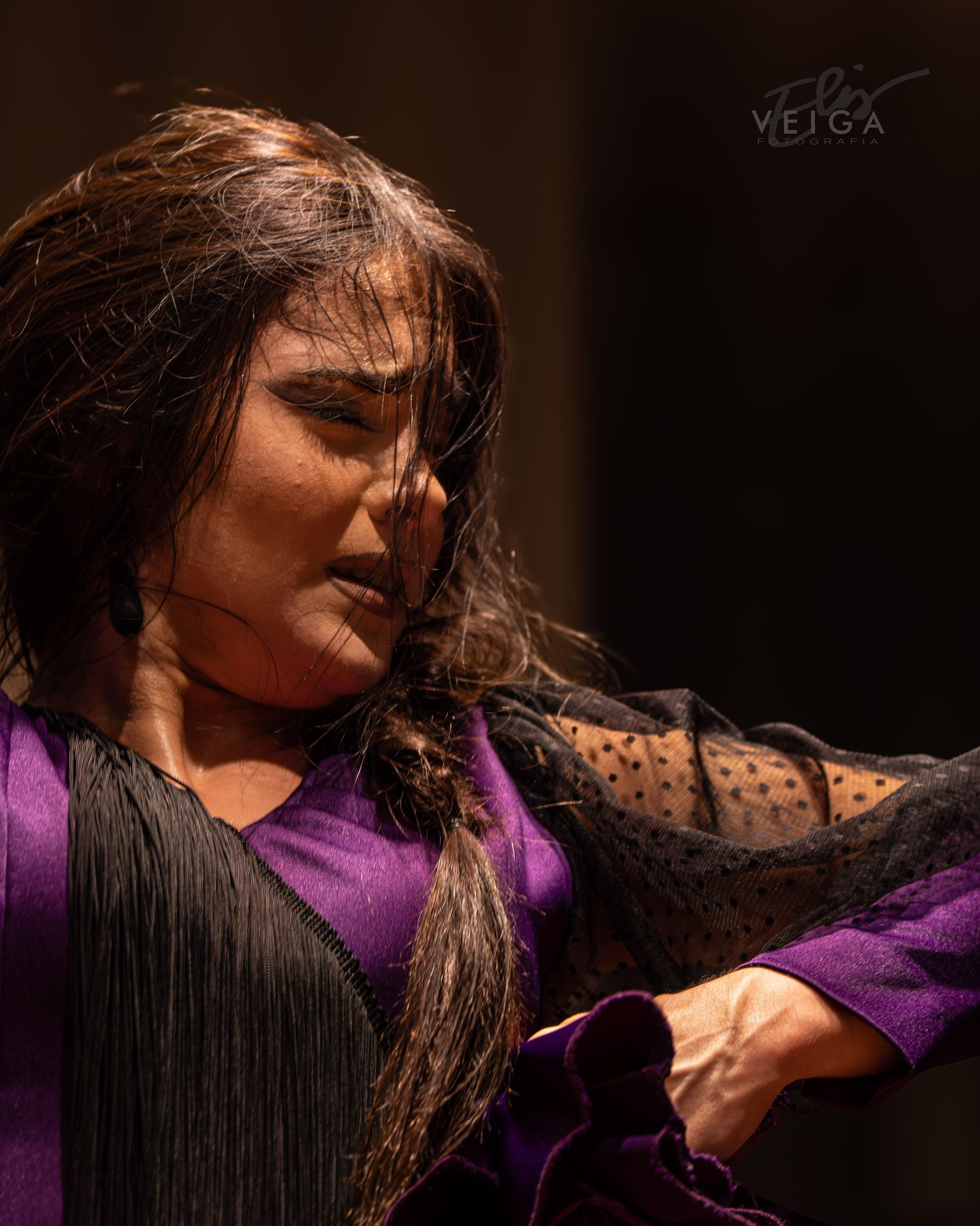 Espectáculo Baile. Elisveiga