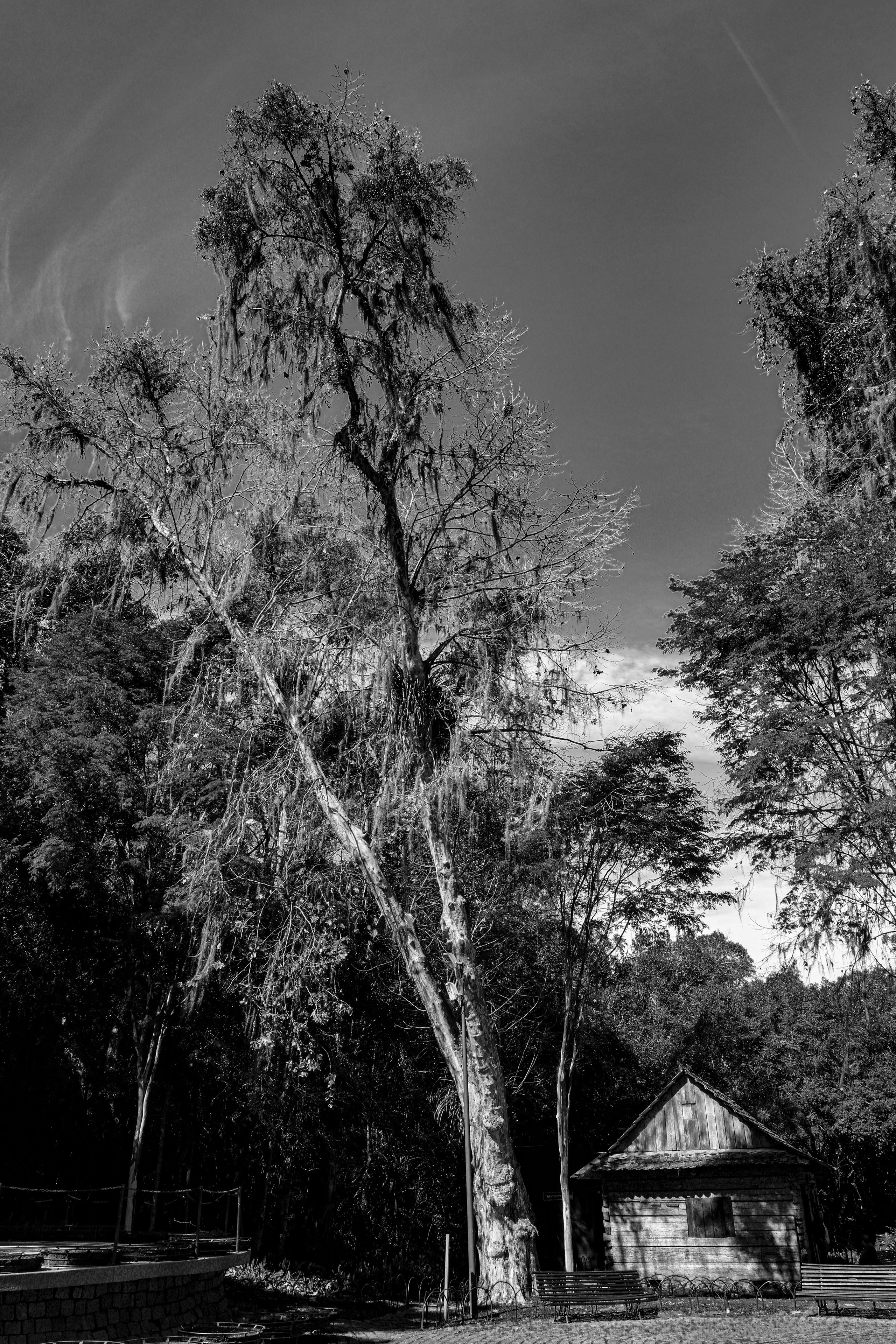 Silêncios em Cinza. Roberto Costa Curta — Fotografo