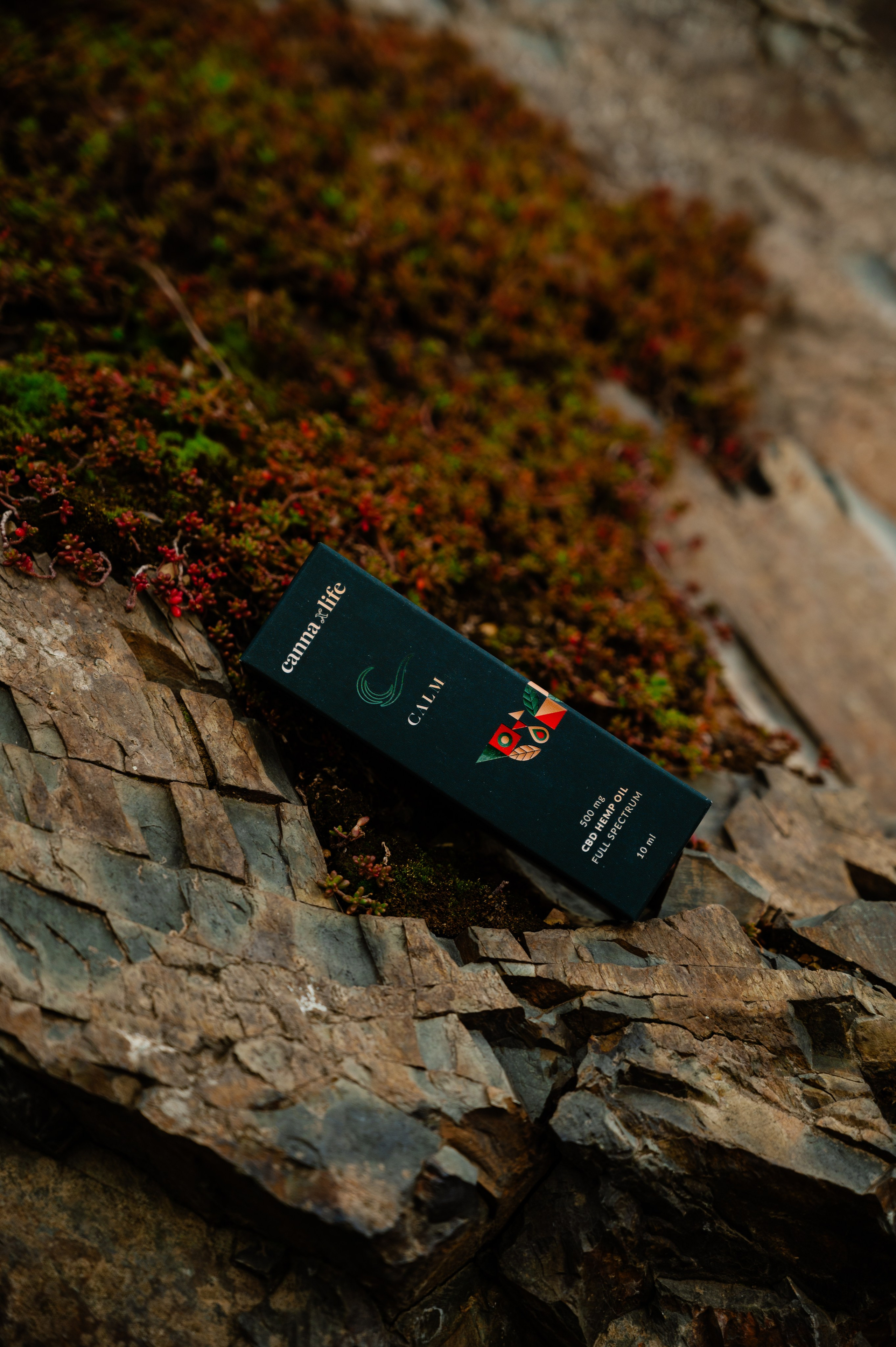 CannaXlife CBD products. ANNA-MARIA PHOTO CONTENT CREATOR — фотограф, эстет, художник и визуальный эксперт в Instagram, работающий в Праге