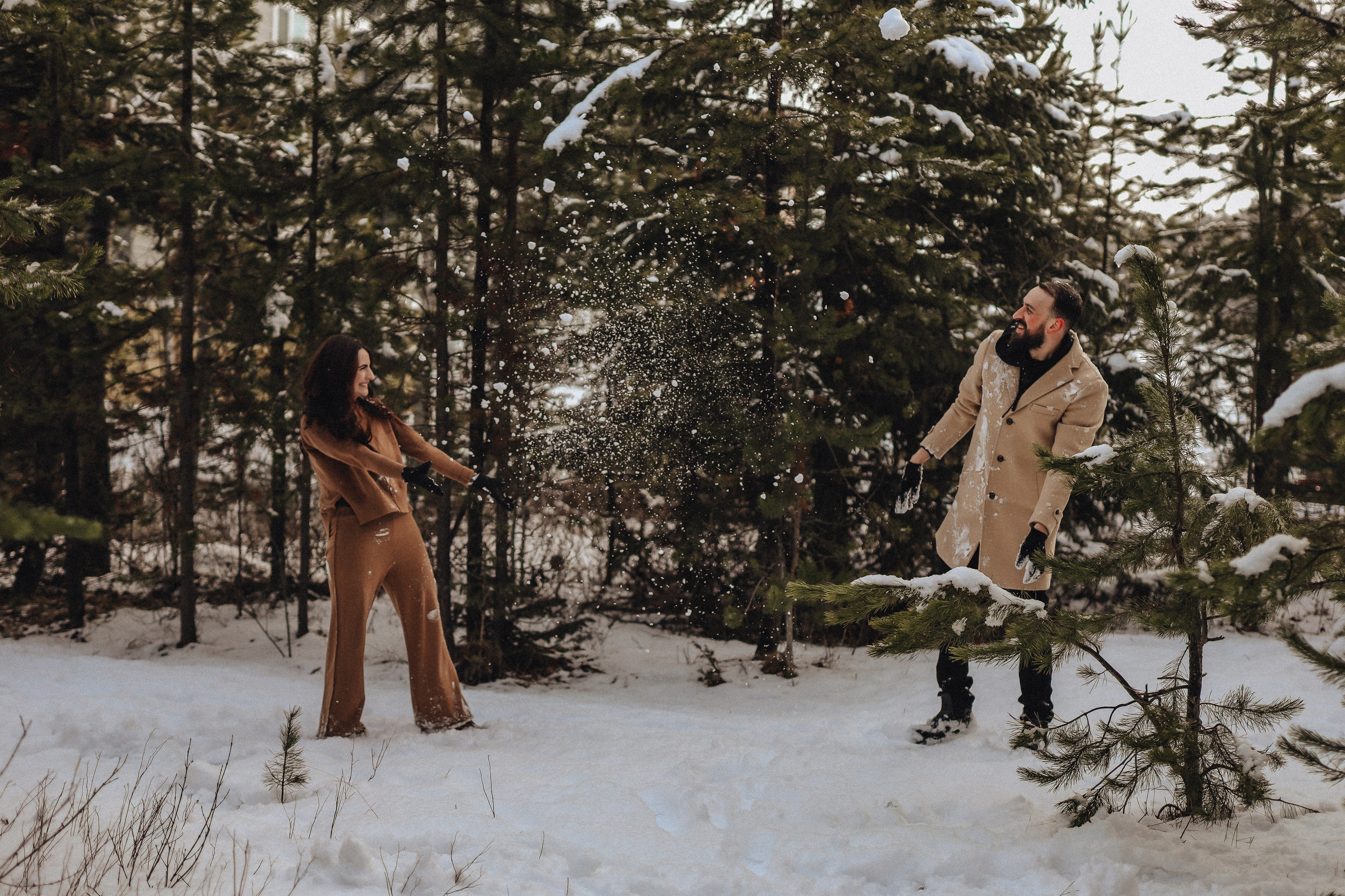 Christmas minis. Ellen Litvinova photography