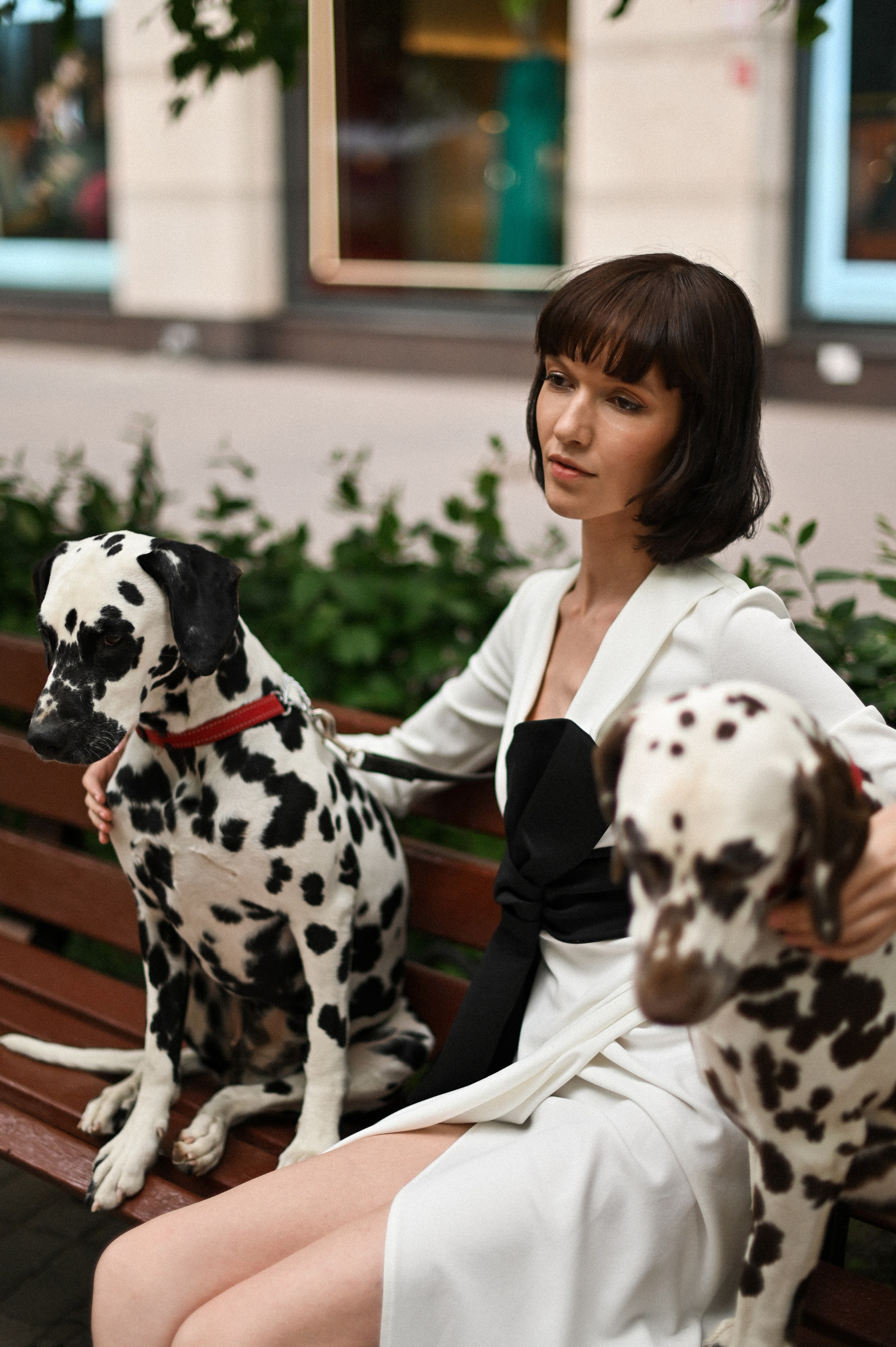 История с далматинцами. Детский и семейный фотограф в финляндии дина пулкка. контент фотограф