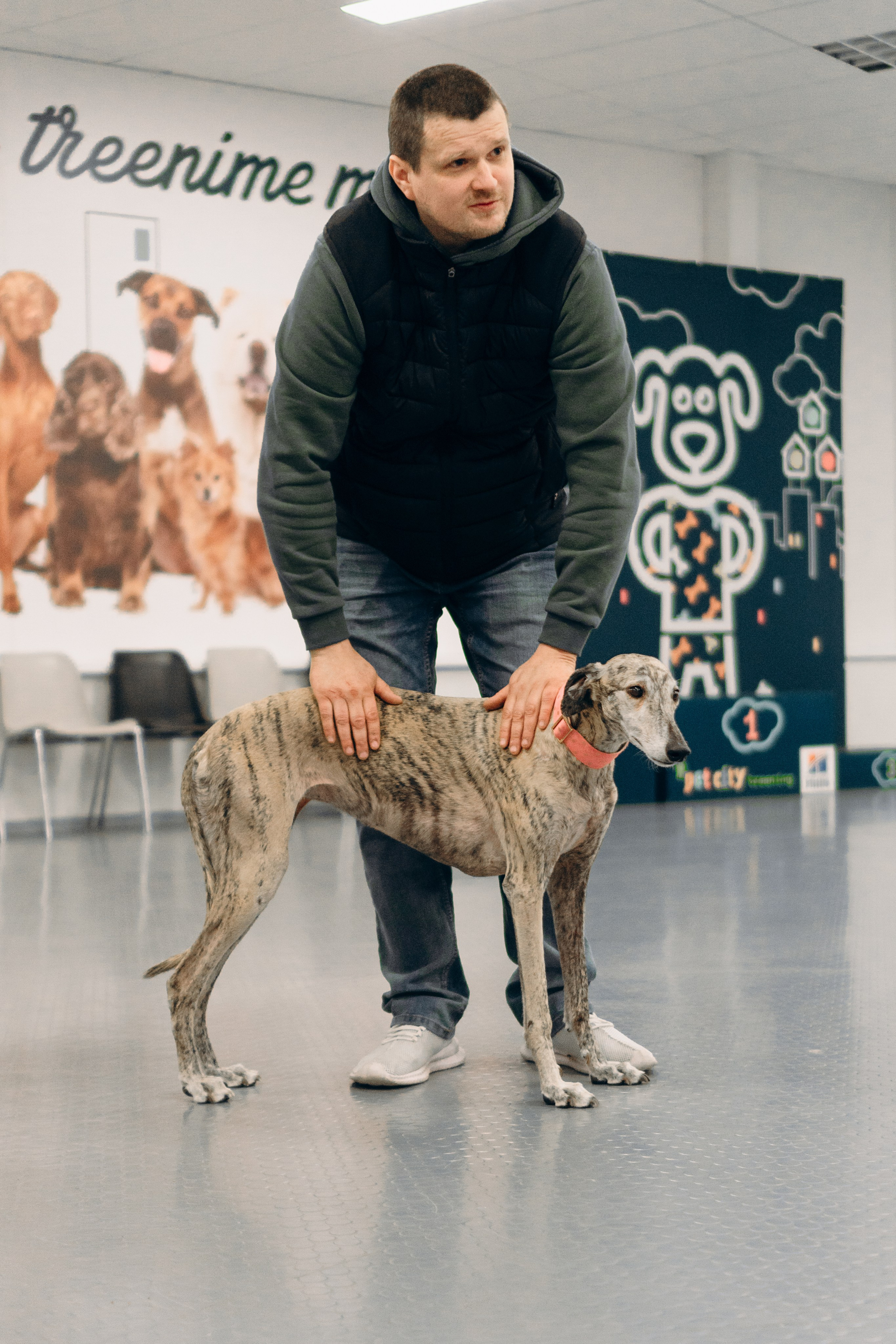 GalgoTreff / PetCity Rannamõisa, 13 apr. 2025. Kat Laisaar — Pet photographer in Tallinn