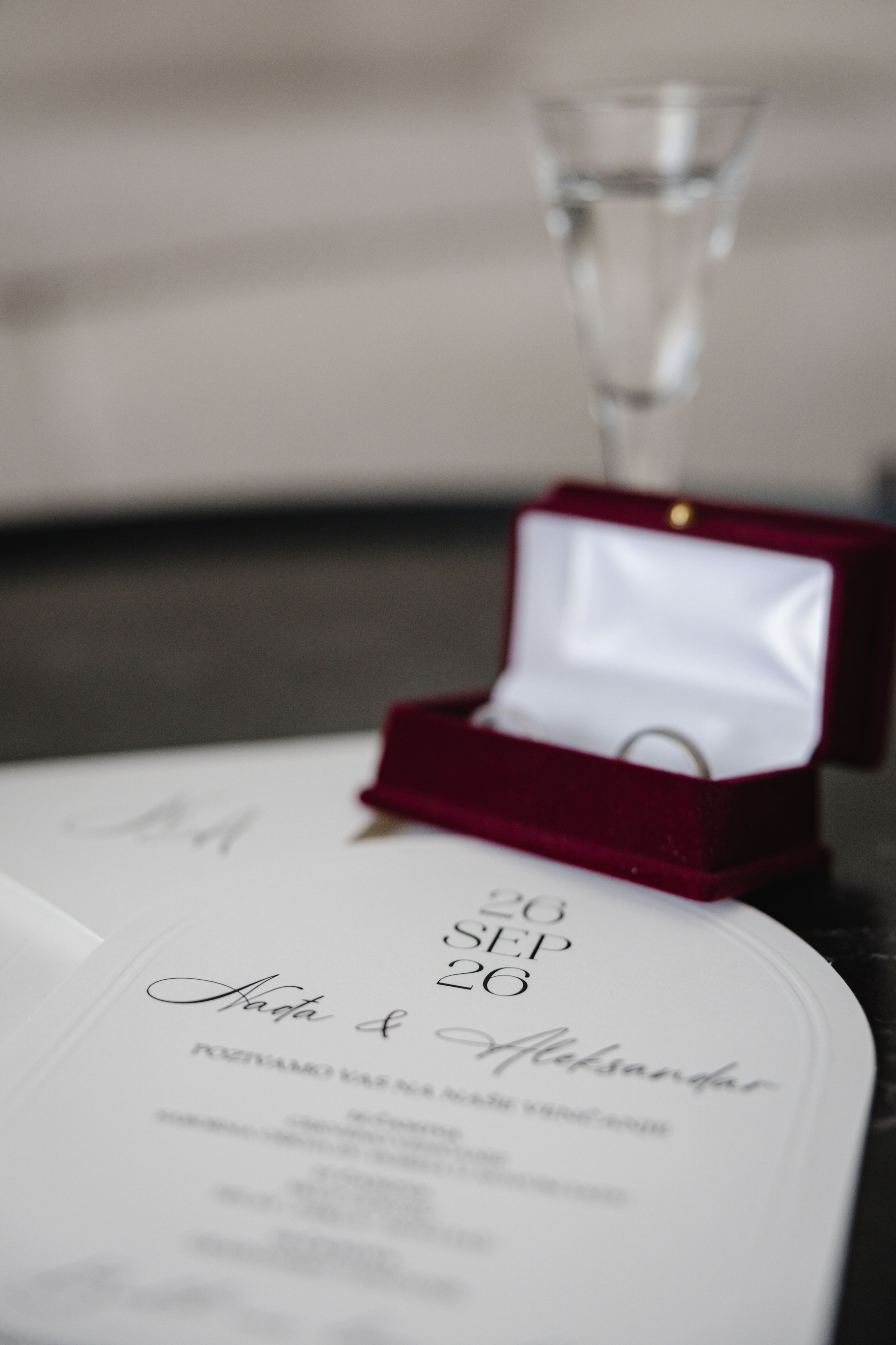 Nađa&Aleksandar. Fotografisanje svadbi, Novi Sad|Dream Point Wedding