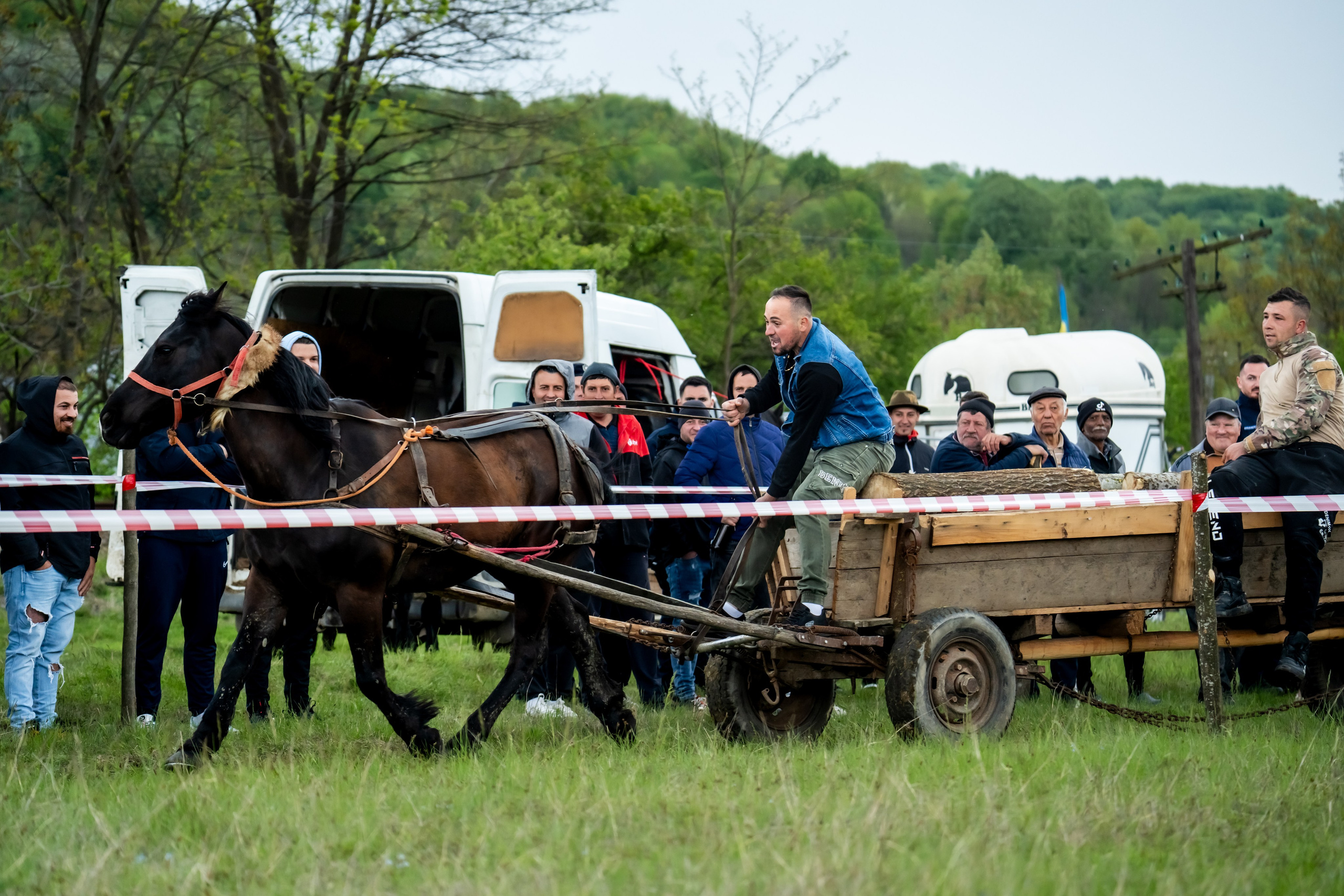 Concurs Ecvestru Vărbilău ediția a 4-a. Mihai Alexandra Events