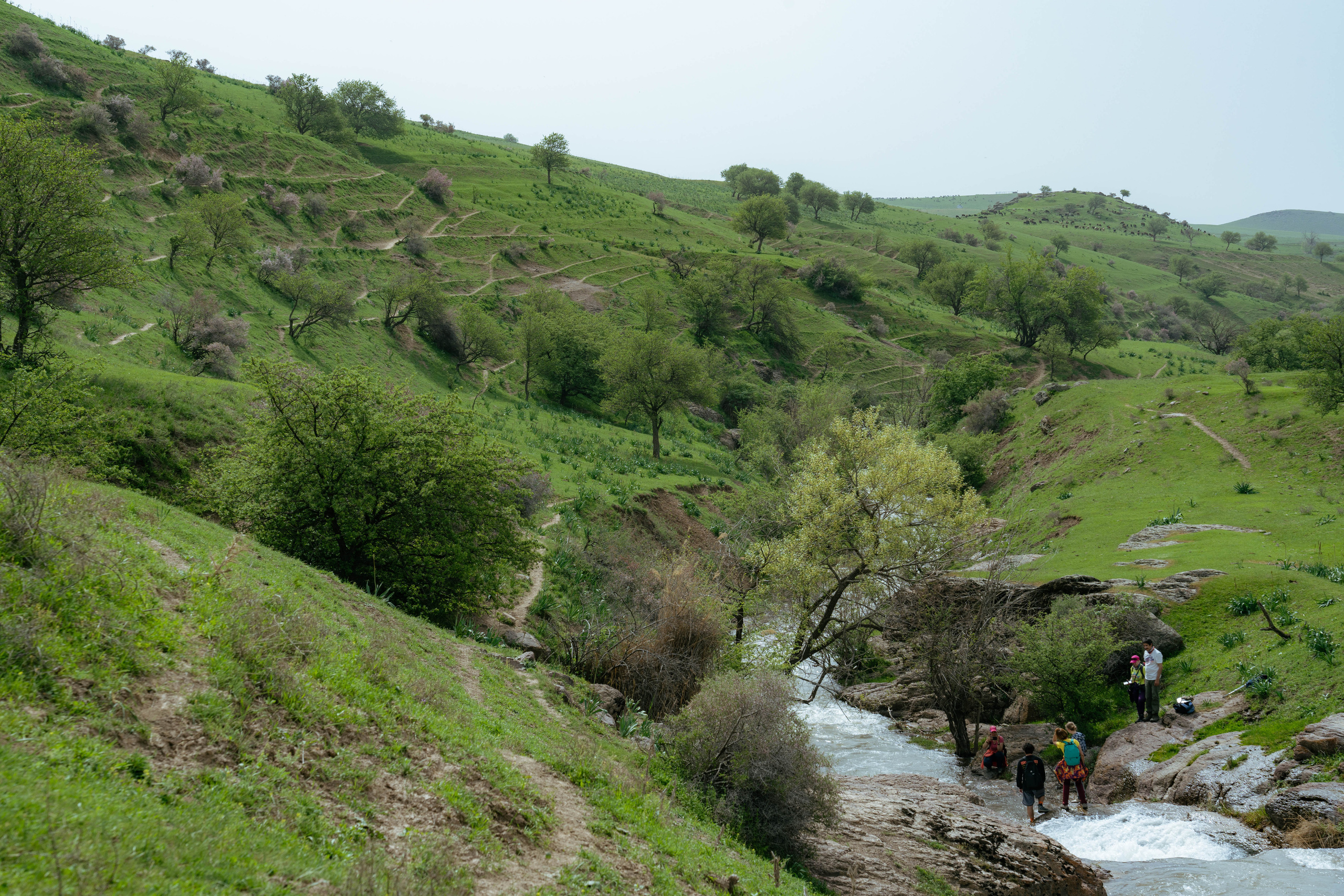 Поход в Азадбашсай. Георгий Намазов | Фотограф в Ташкенте