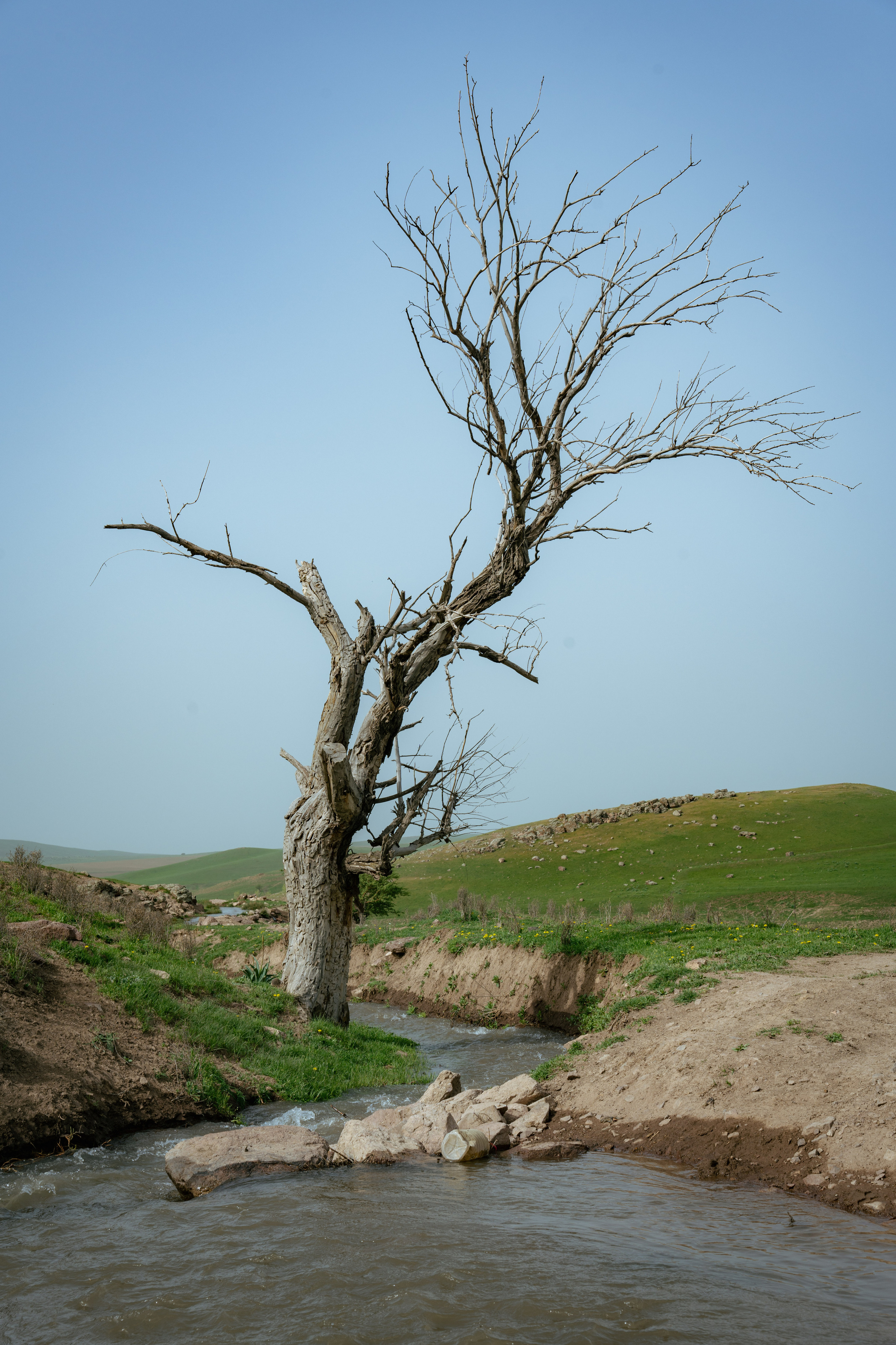 Поход в Азадбашсай. Георгий Намазов | Фотограф в Ташкенте