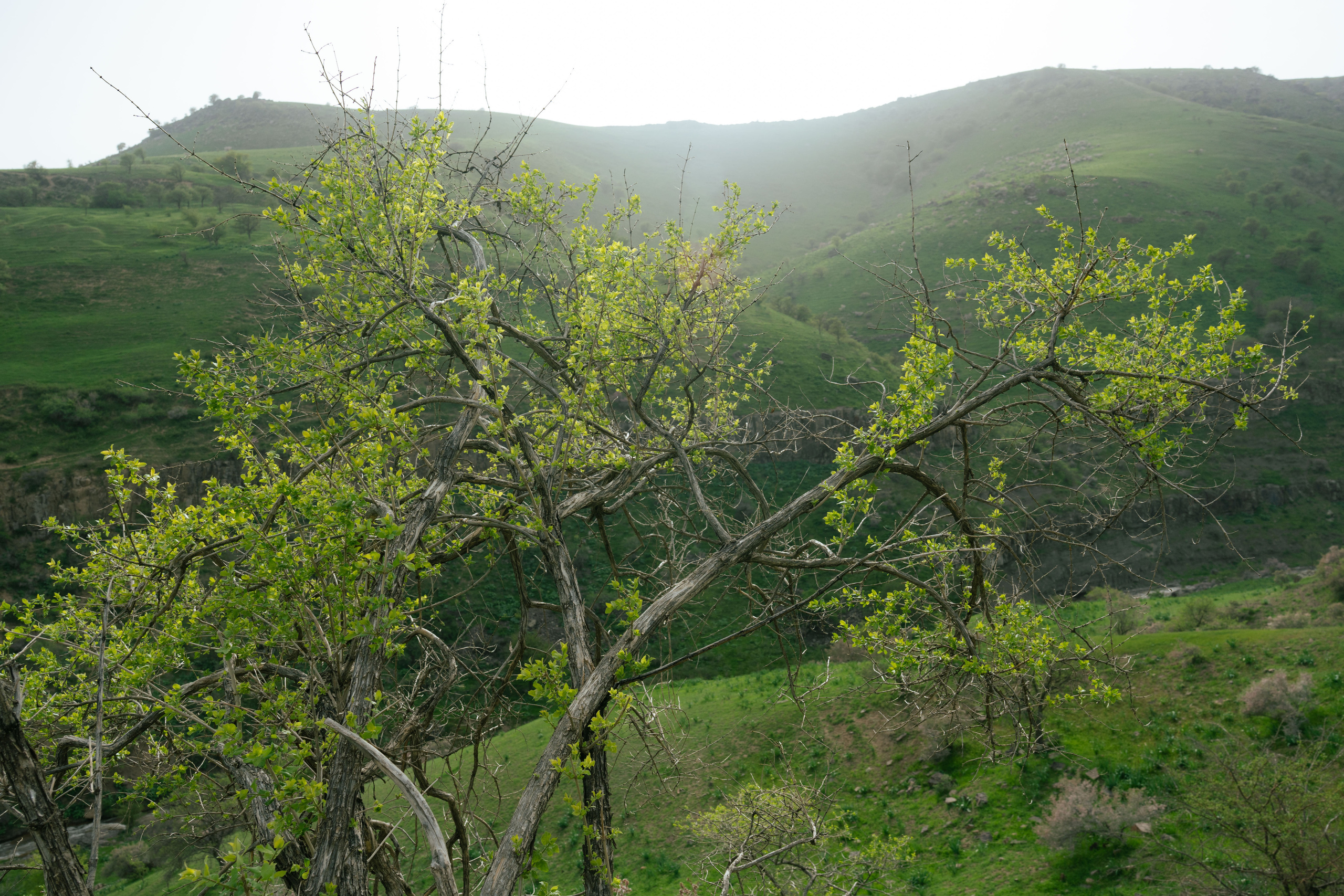 Поход в Азадбашсай. Георгий Намазов | Фотограф в Ташкенте