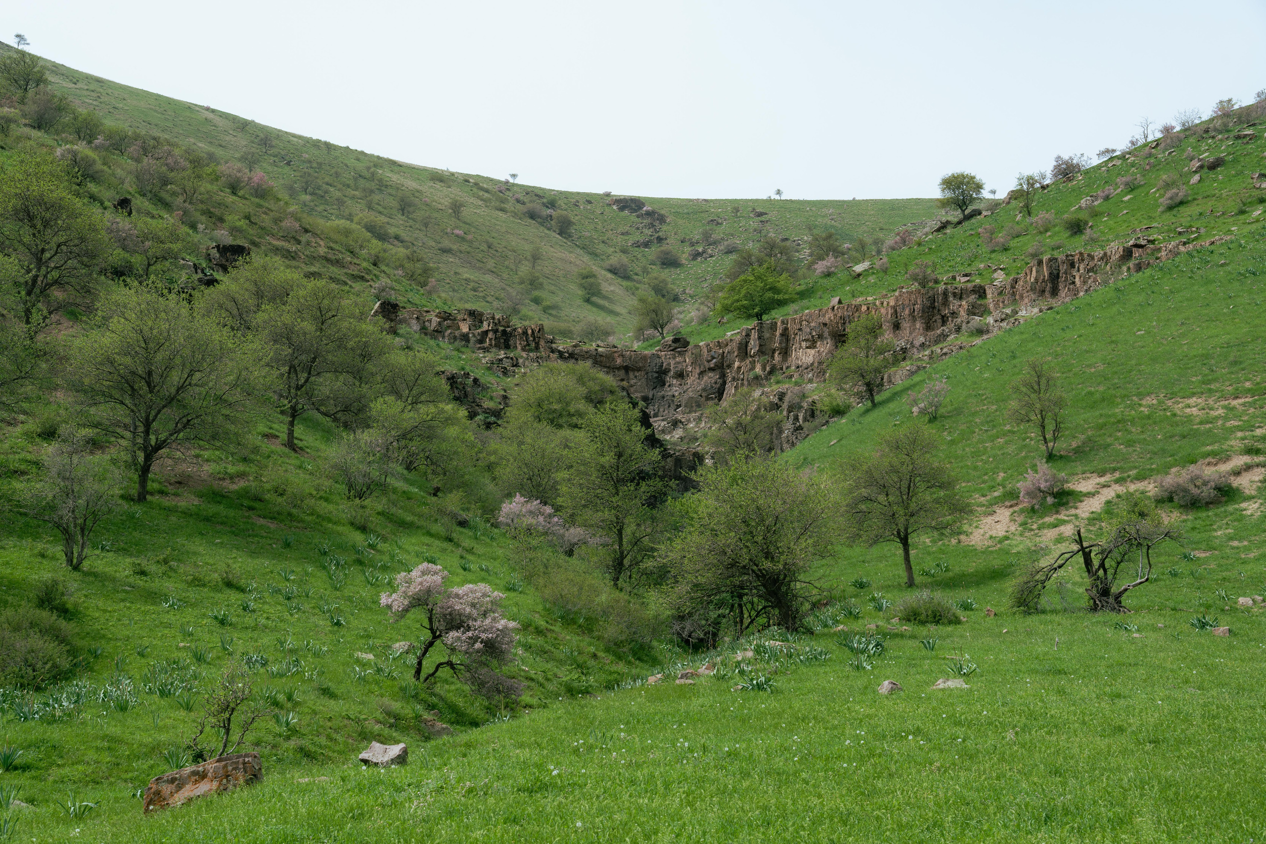 Поход в Азадбашсай. Георгий Намазов | Фотограф в Ташкенте