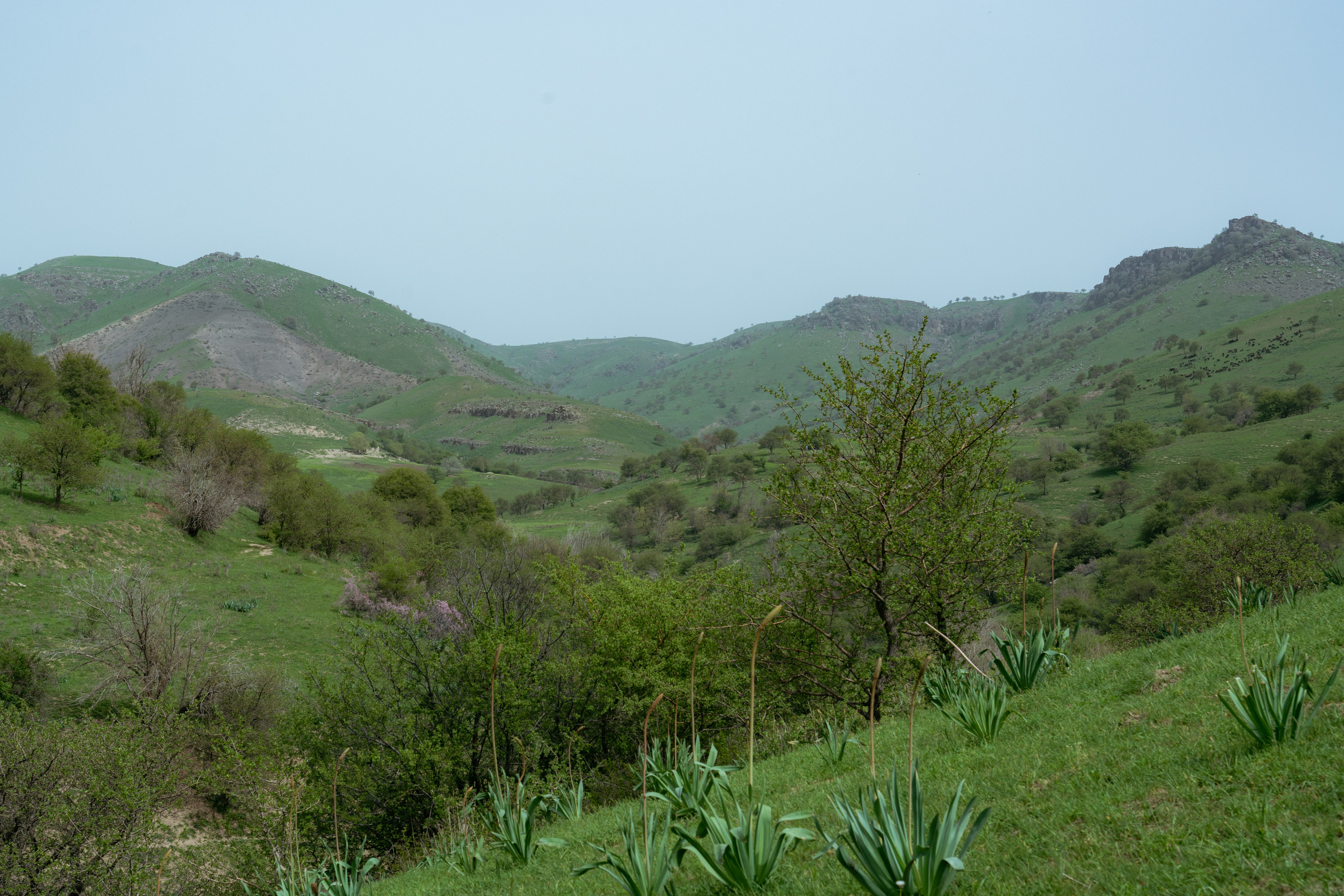 Поход в Азадбашсай. Георгий Намазов | Фотограф в Ташкенте