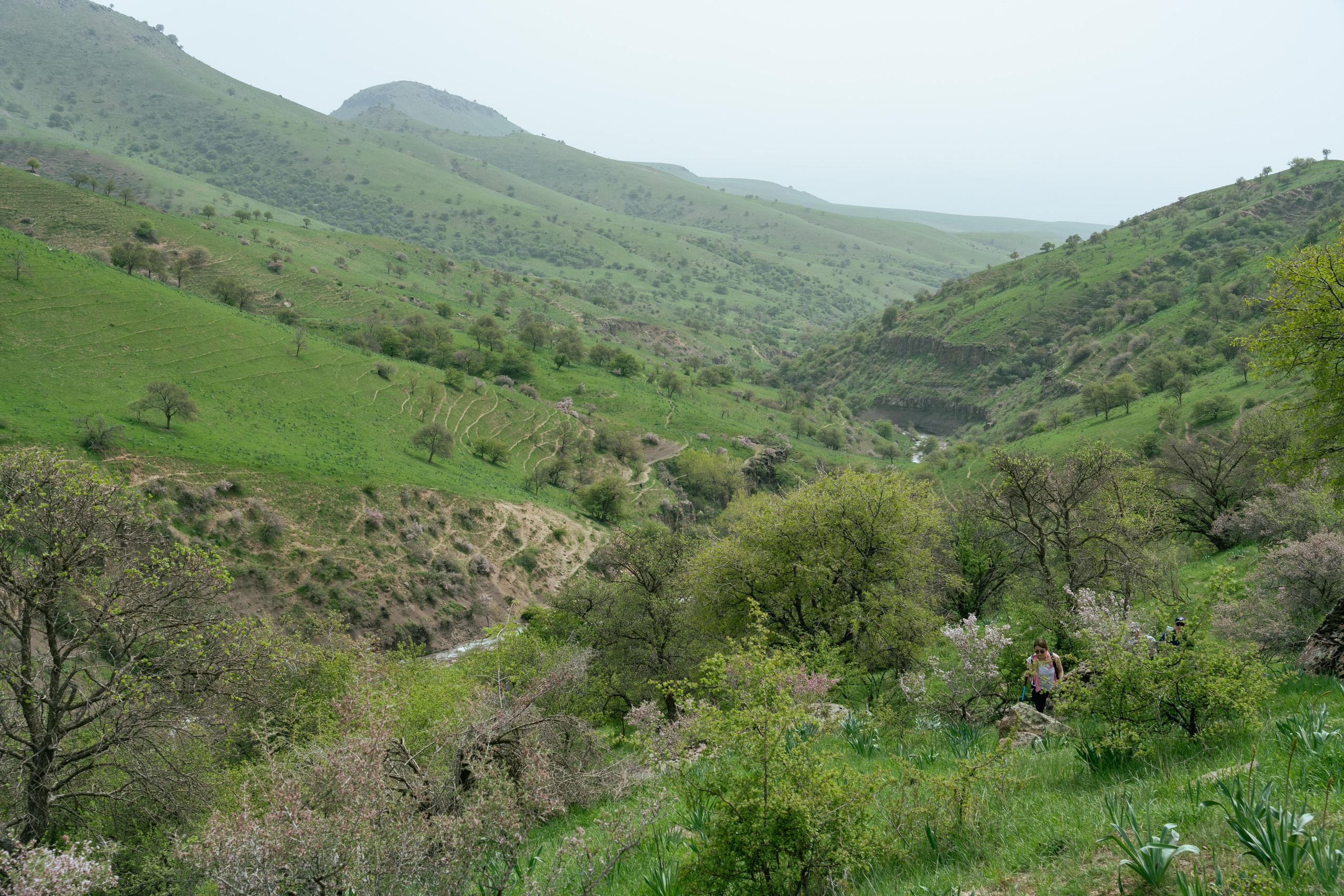 Поход в Азадбашсай. Георгий Намазов | Фотограф в Ташкенте