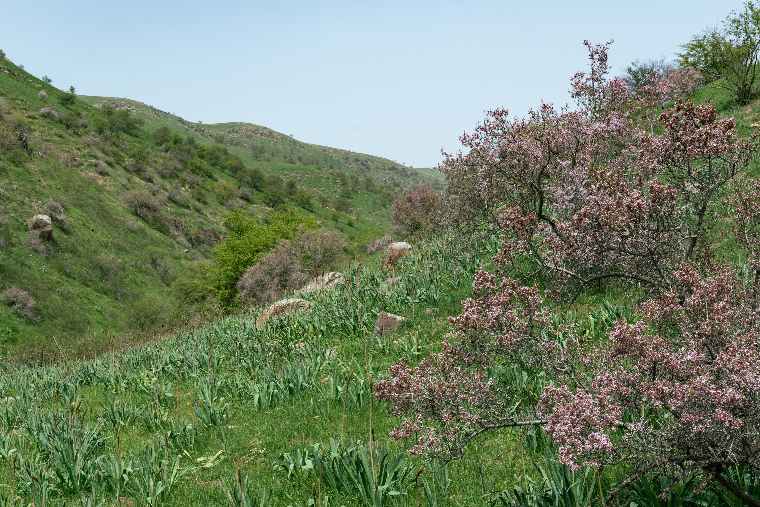 Поход в Азадбашсай. Георгий Намазов | Фотограф в Ташкенте