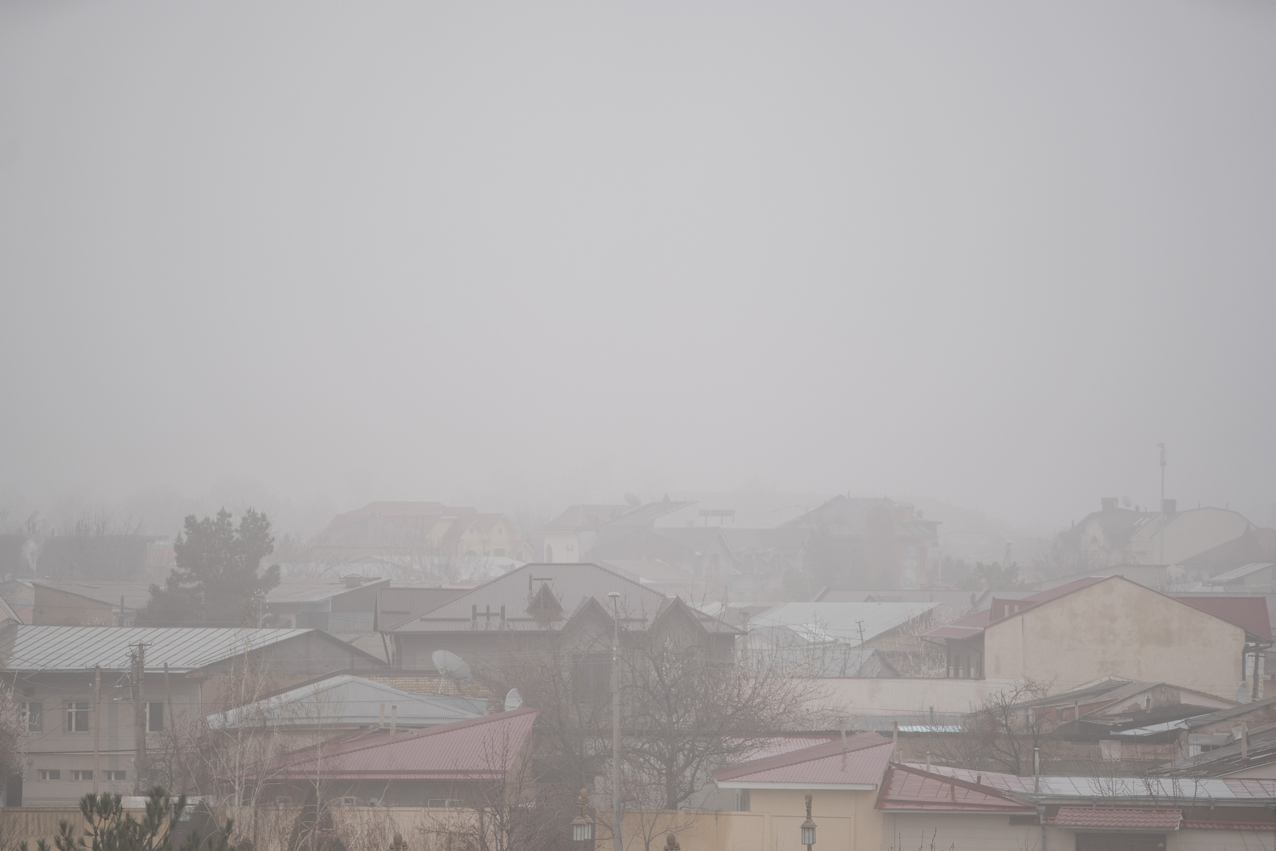 Ташкент во власти тумана. Георгий Намазов | Фотограф в Ташкенте