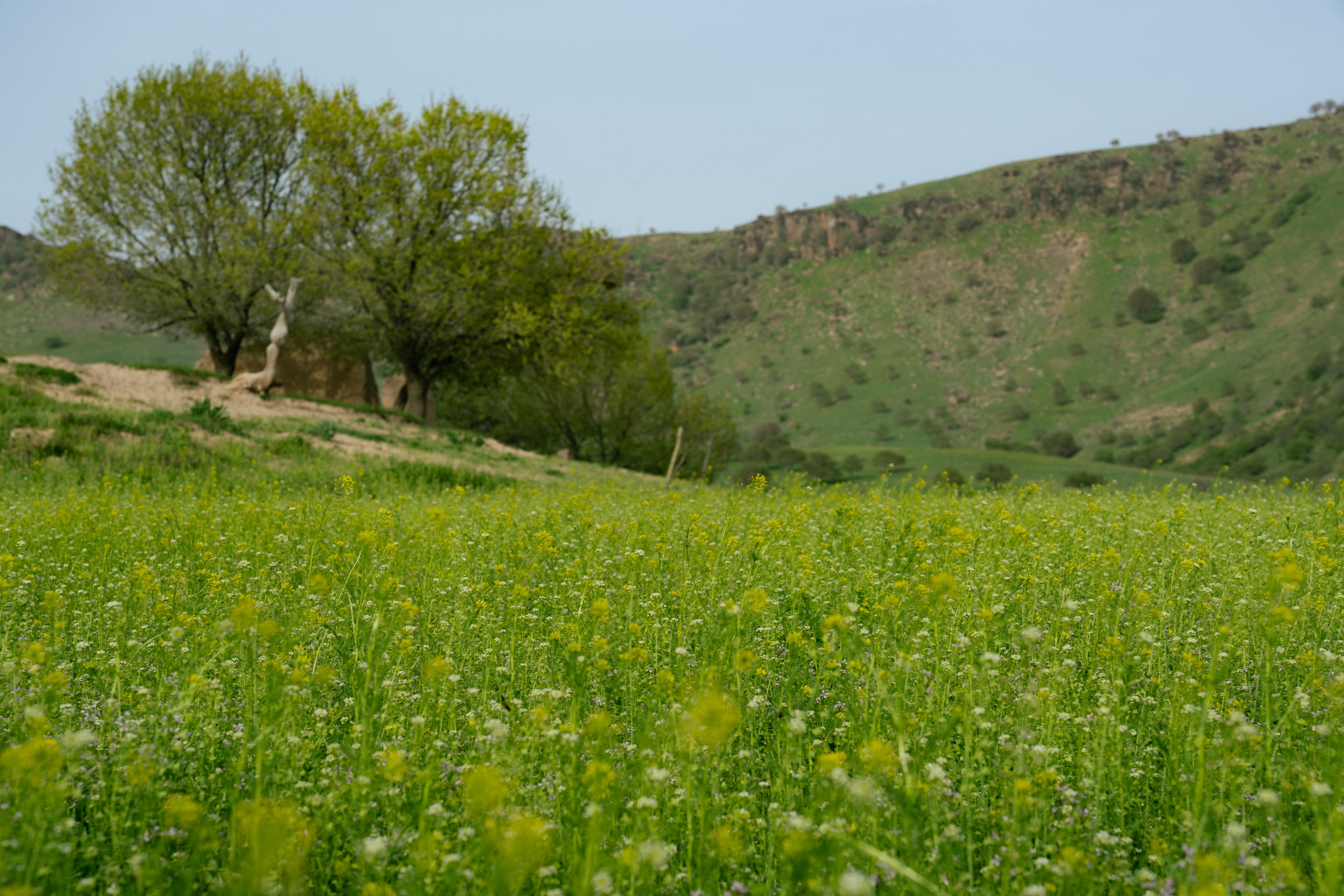 Поход в Азадбашсай. Георгий Намазов | Фотограф в Ташкенте