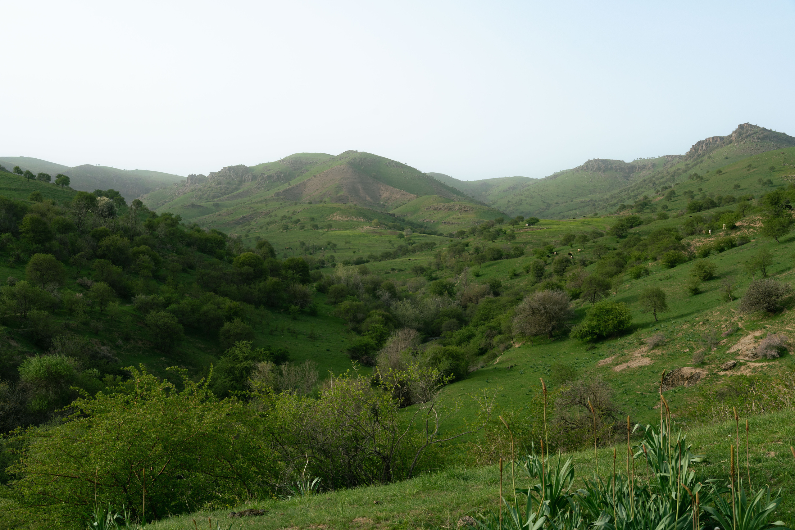 Поход в Азадбашсай. Георгий Намазов | Фотограф в Ташкенте