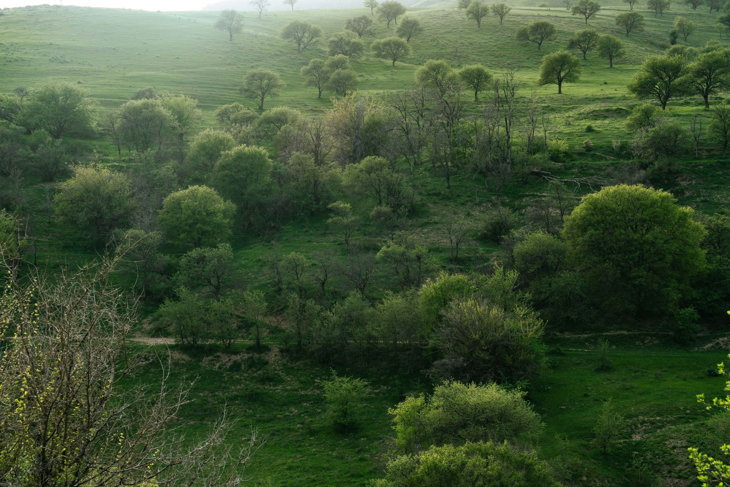 Поход в Азадбашсай. Георгий Намазов | Фотограф в Ташкенте