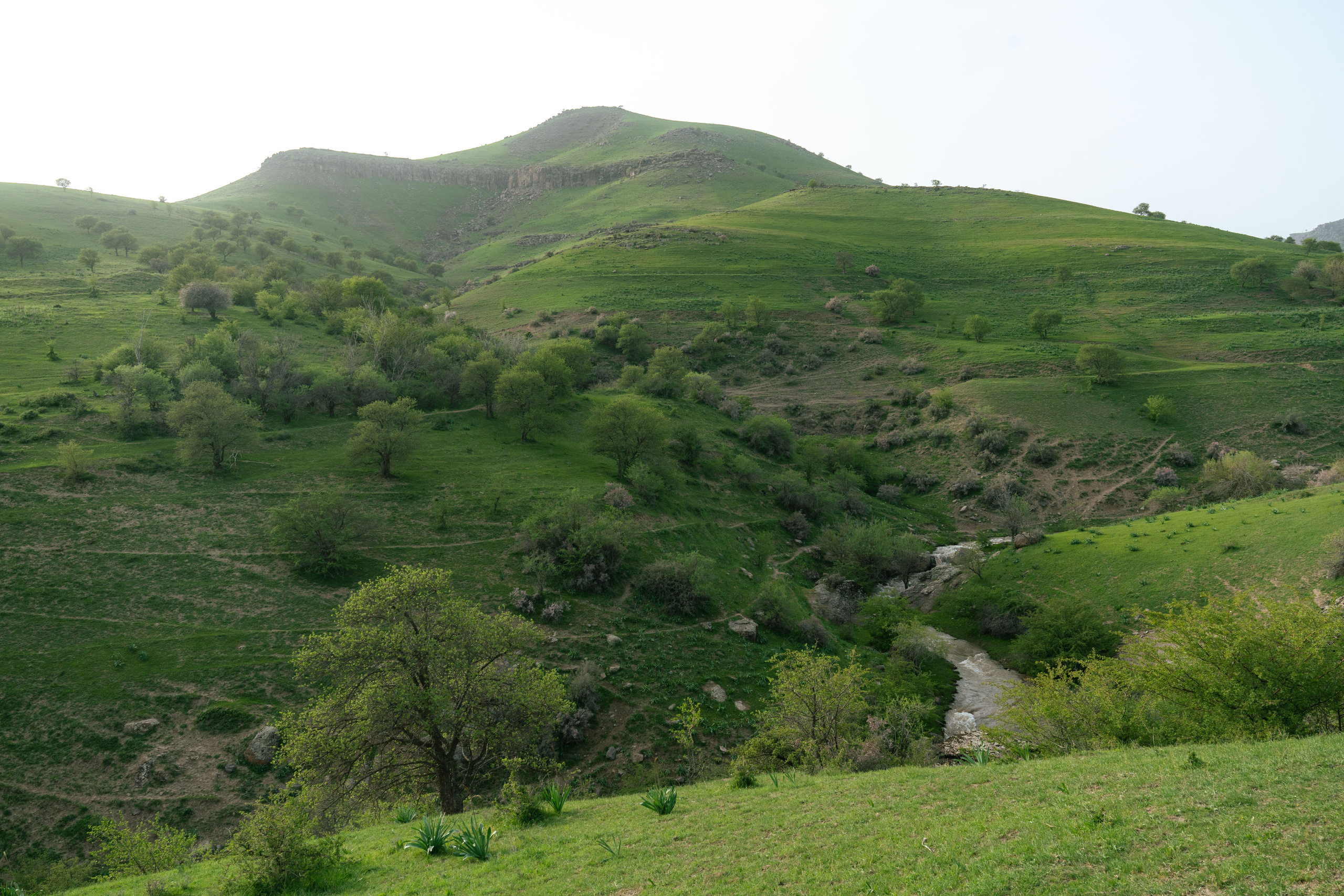 Поход в Азадбашсай. Георгий Намазов | Фотограф в Ташкенте