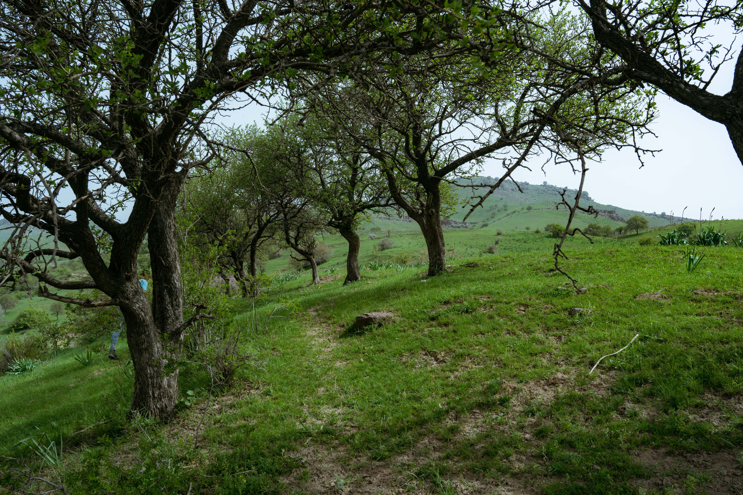 Поход в Азадбашсай. Георгий Намазов | Фотограф в Ташкенте