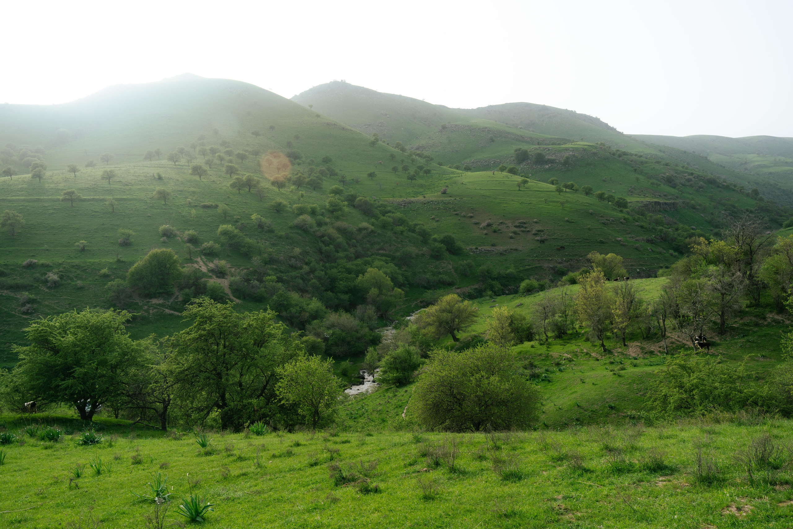 Поход в Азадбашсай. Георгий Намазов | Фотограф в Ташкенте