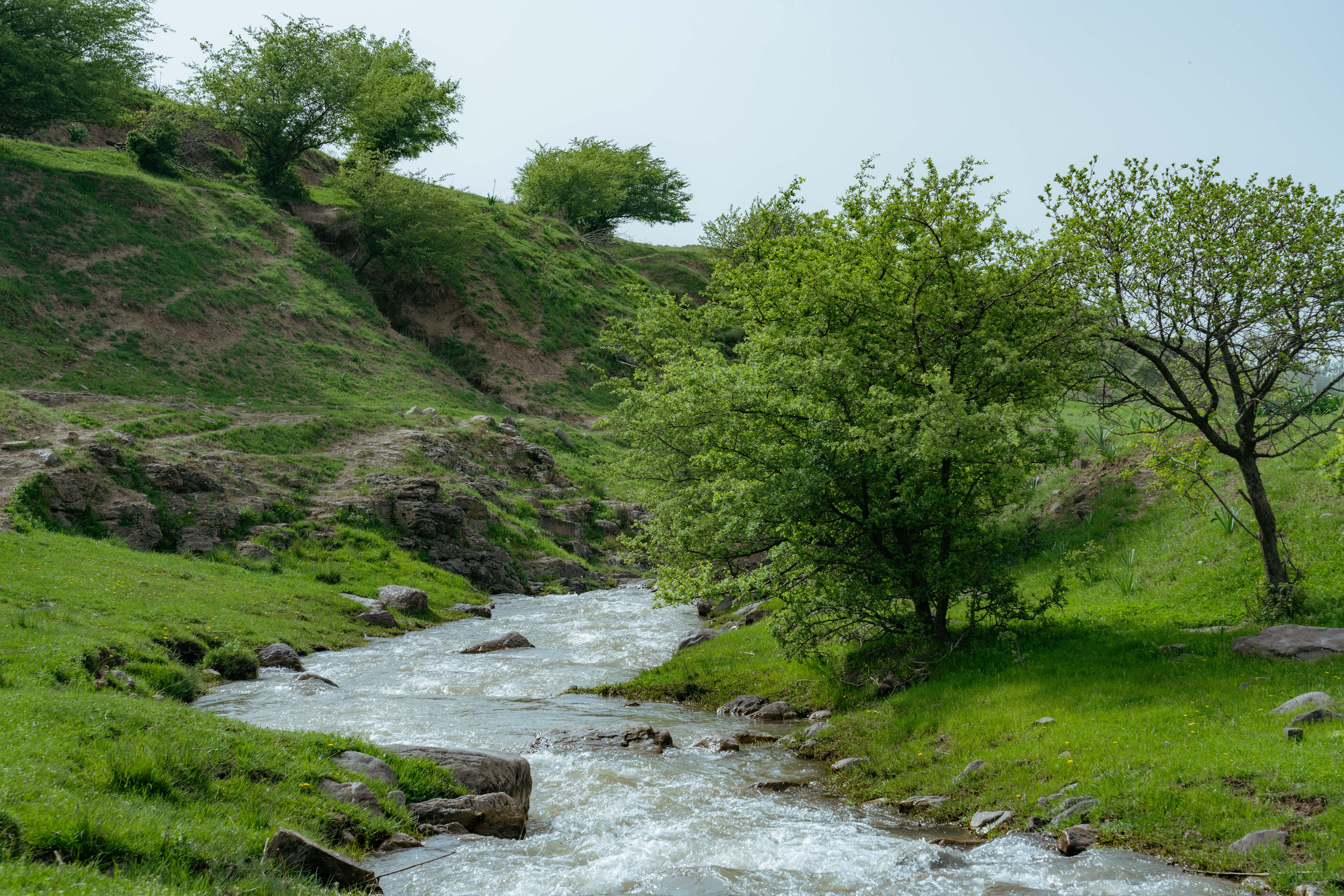 Поход в Азадбашсай. Георгий Намазов | Фотограф в Ташкенте